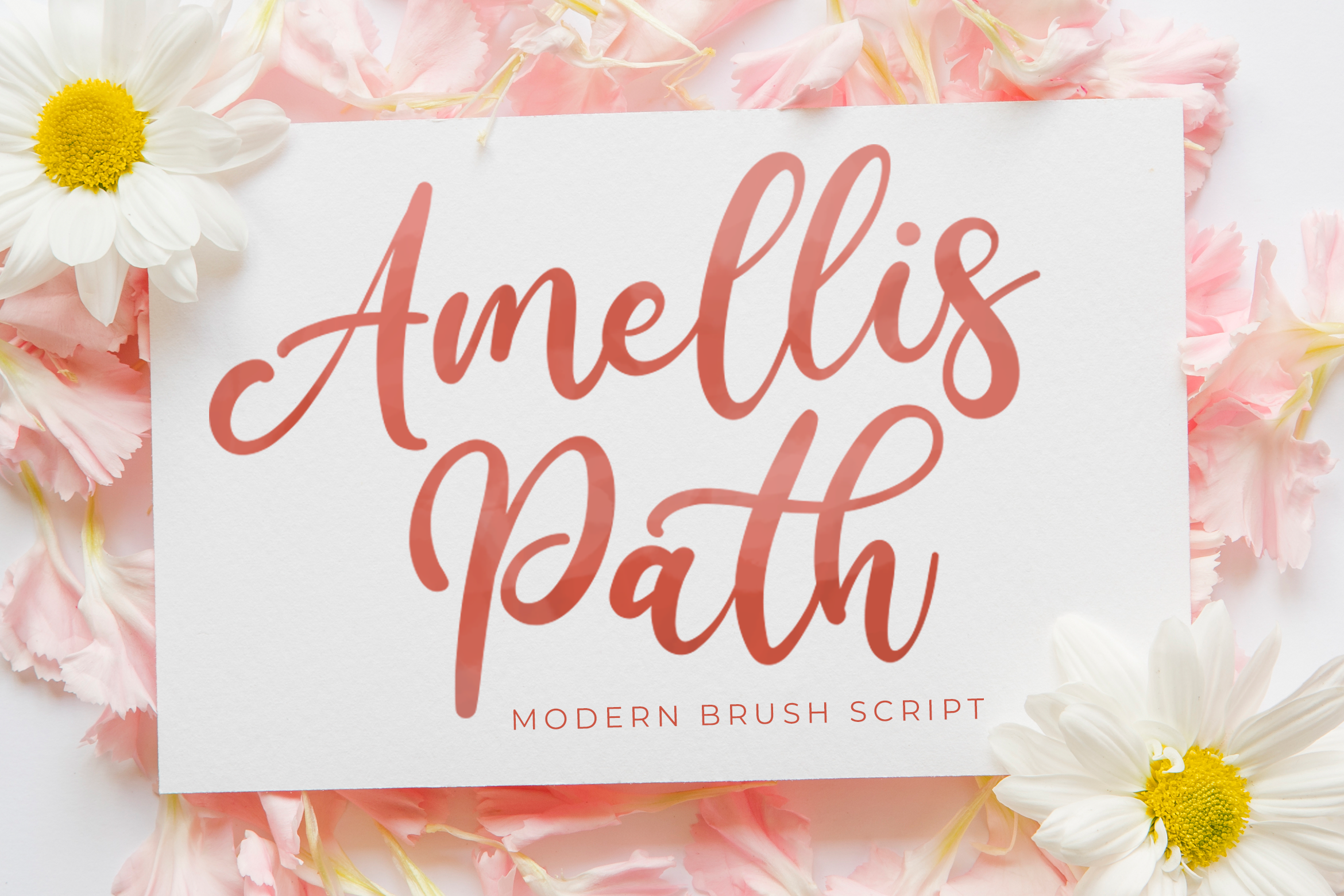 Amellis Path Brush Script Font By Stringlabs Thehungryjpeg Com