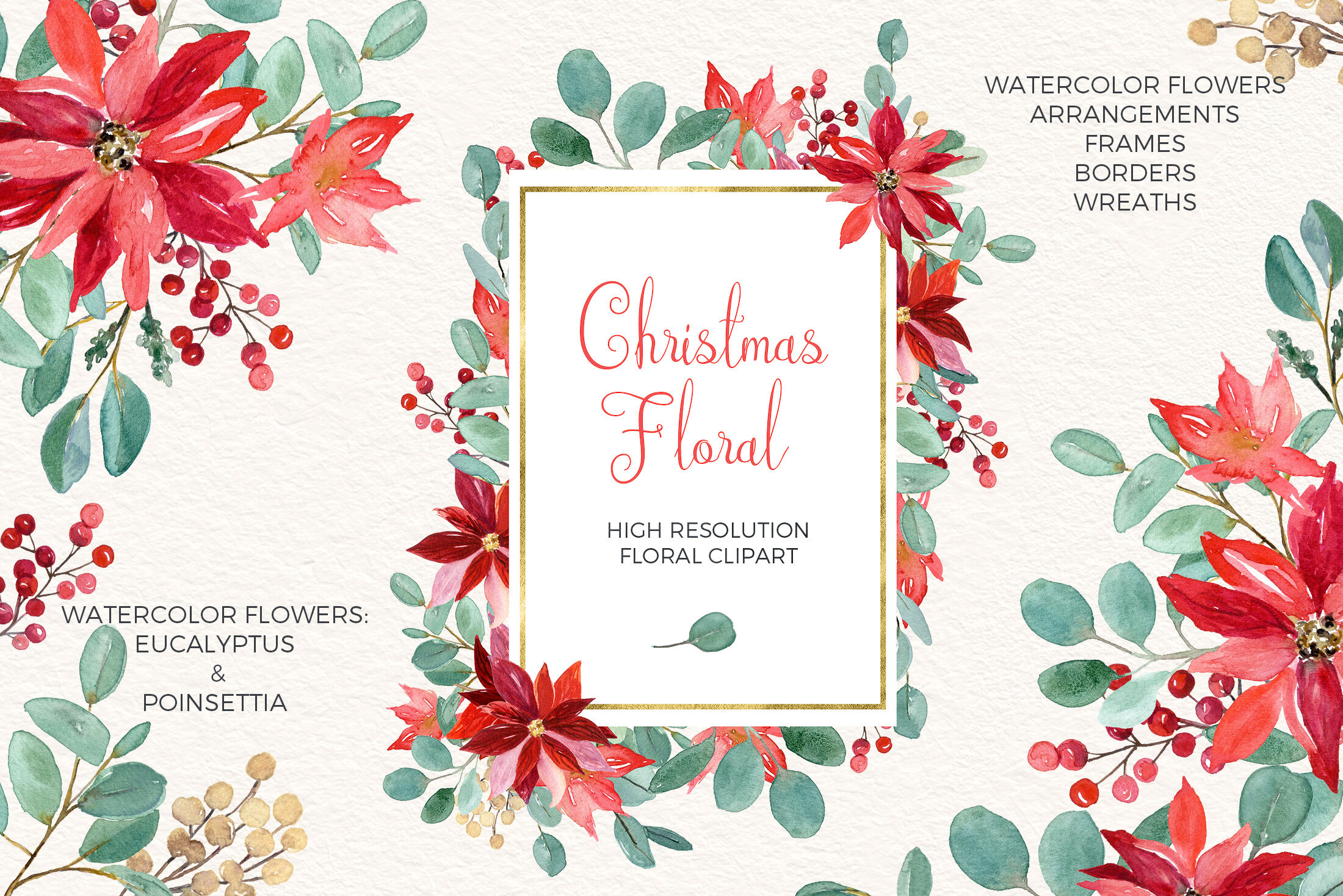 Christmas Floral. Eucalyptus and Poinsettia. Watercolor Clipart By