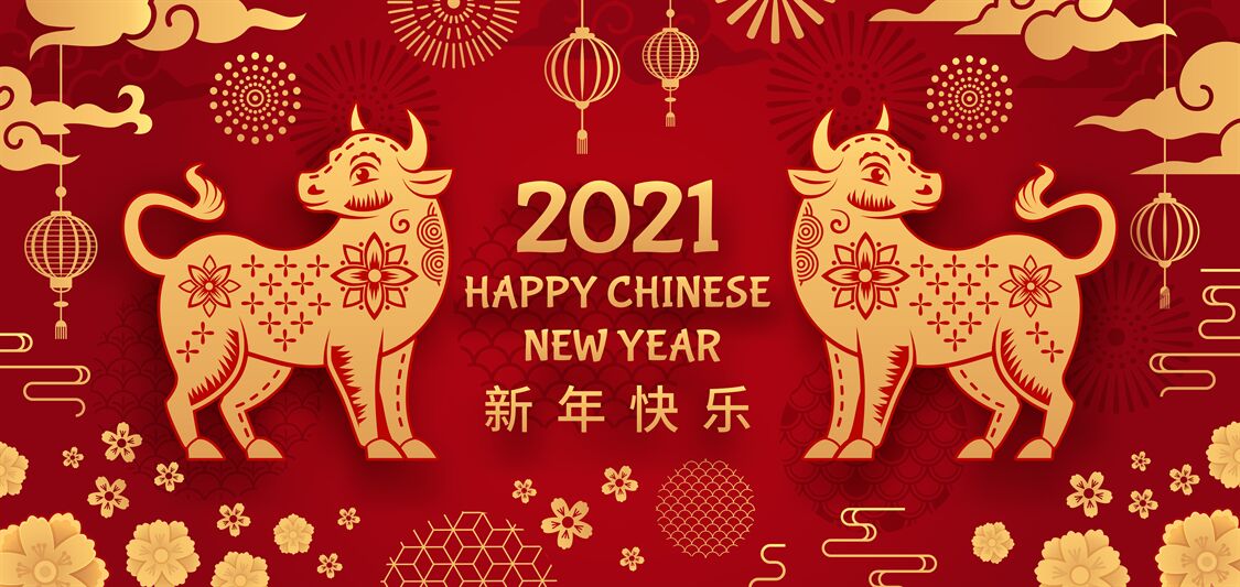 Ox year. Chinese new year 2021 year bull, gold and on asian holiday el