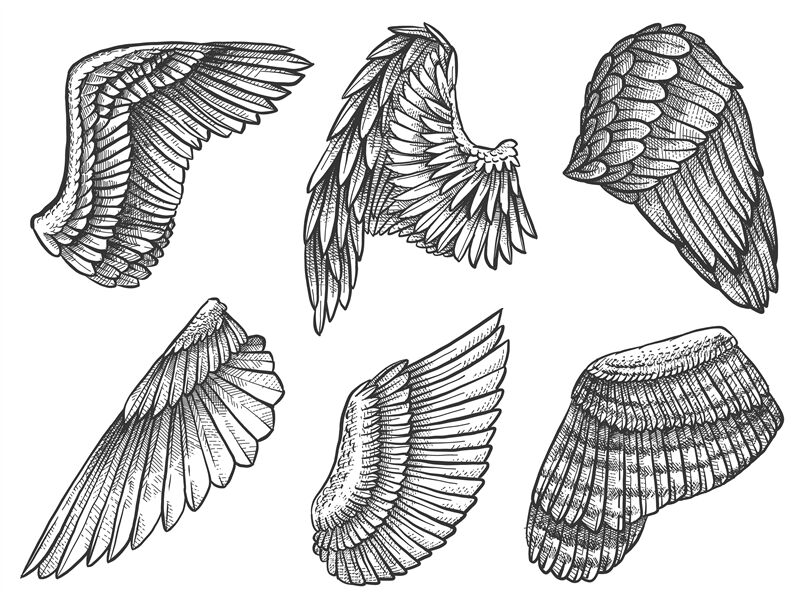 Learn More About Drawings of Angel Wings For Your Angelic Art