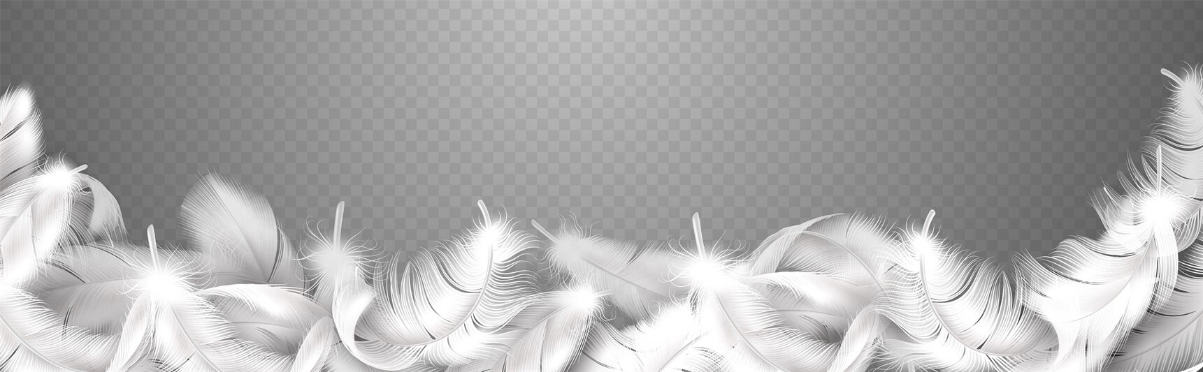 Realistic Feathers White Bird Falling Feather Isolated On White Background  Vector Collection Illustration Of Feather Bird Soft White Plume Stock  Illustration - Download Image Now - iStock