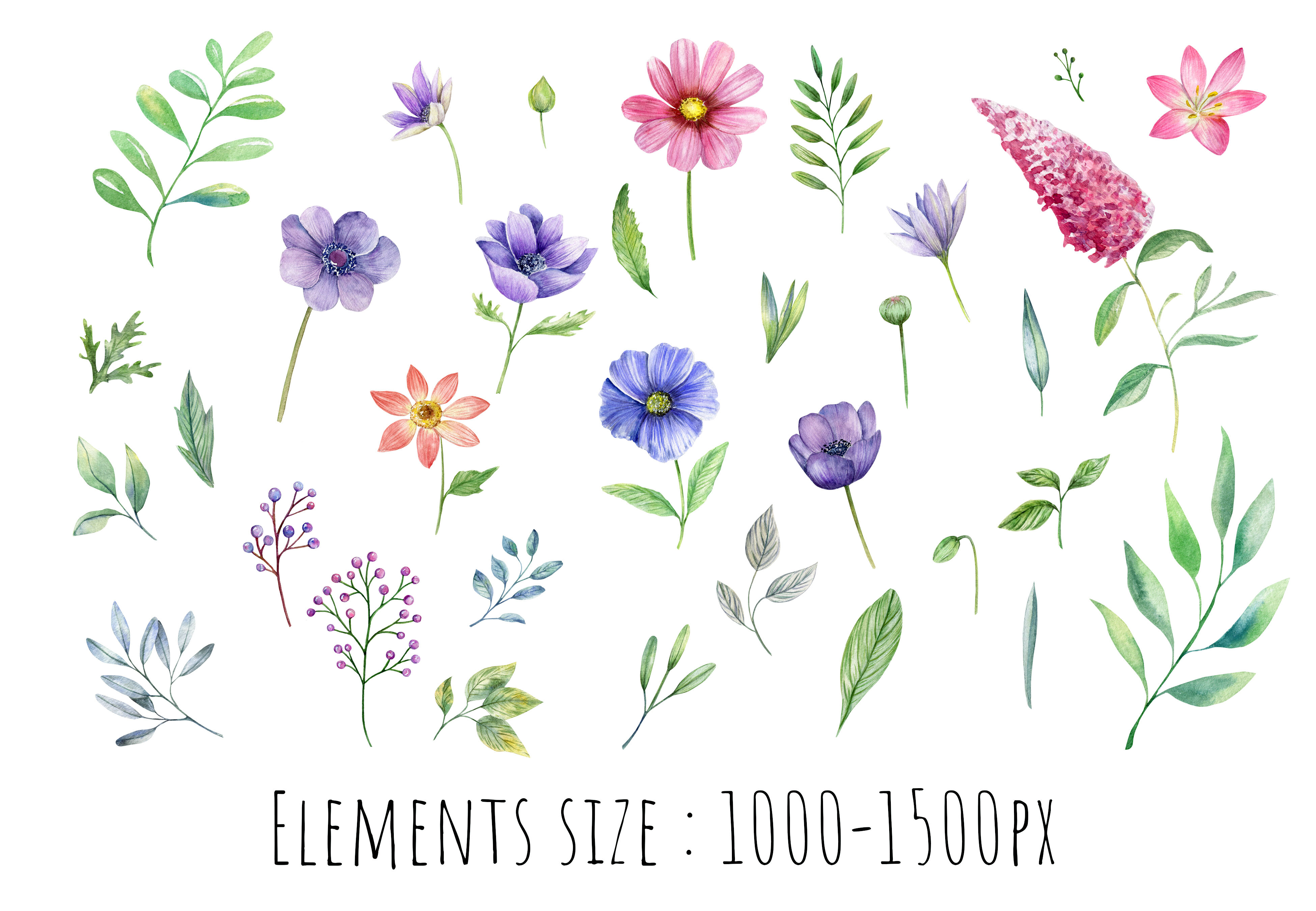 Watercolor Wildflowers And Leaves Clipart Hand Painted Png By Svetlana
