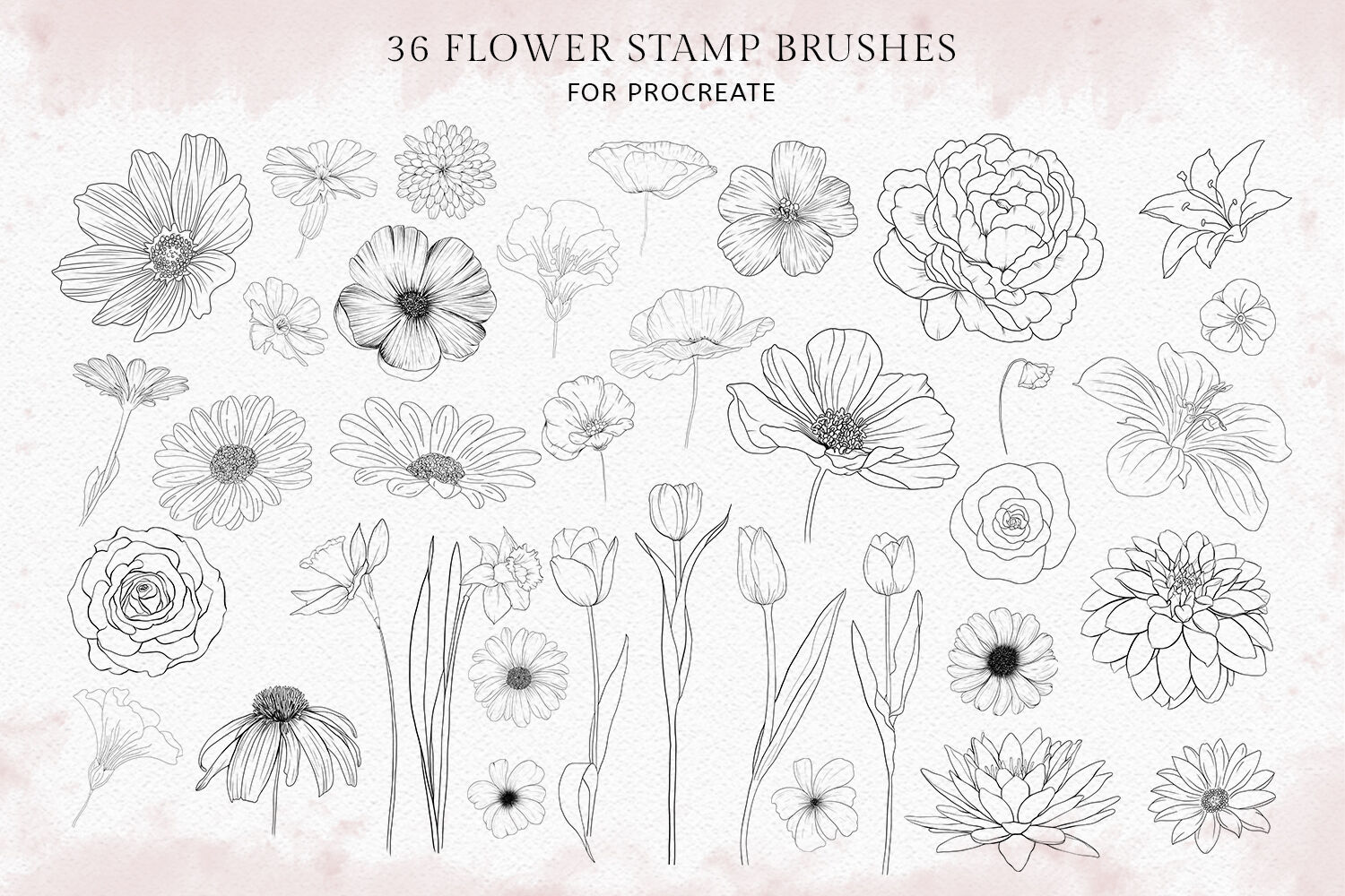 free procreate brushes floral