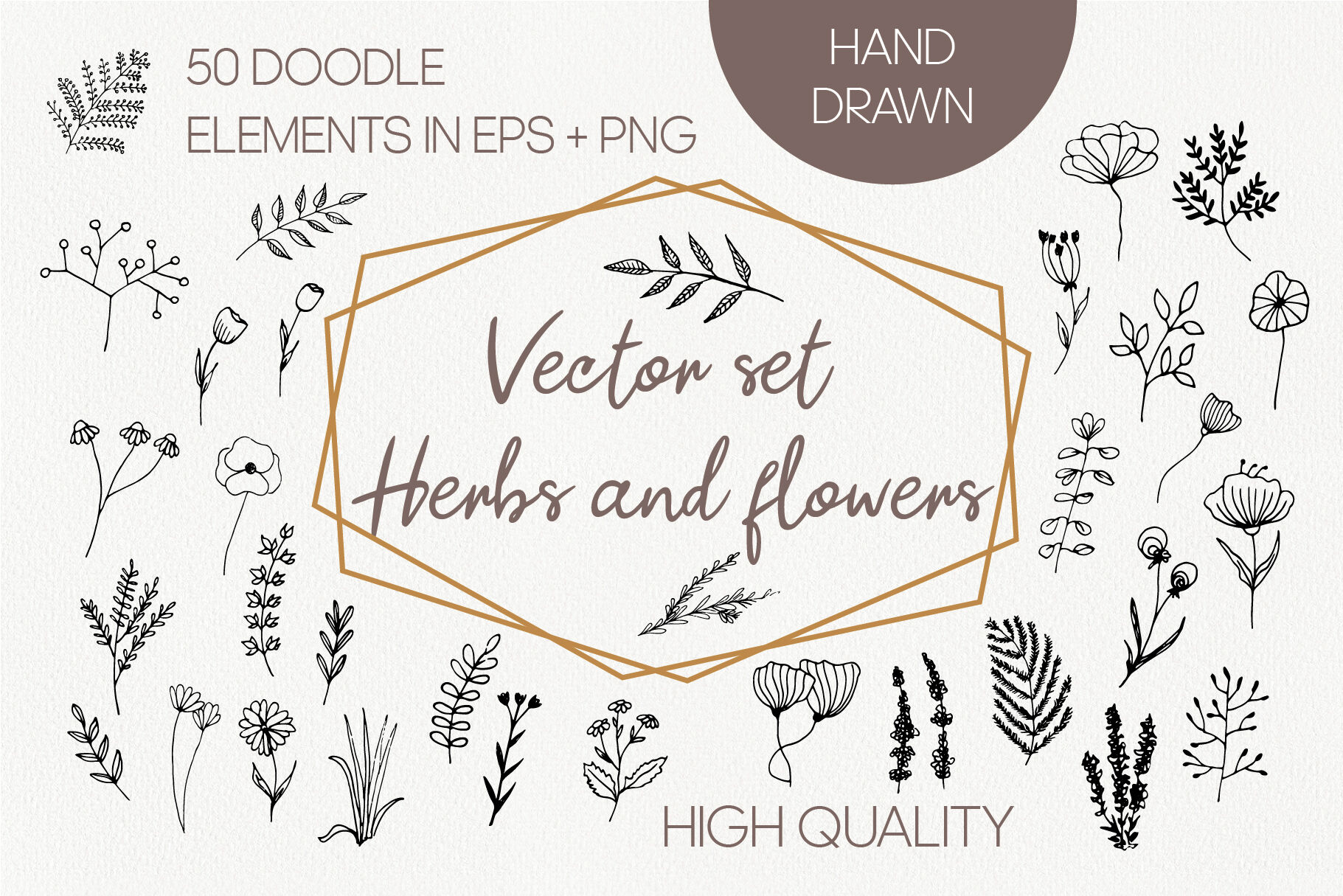 Vector organic herbs and flowers By Anntre | TheHungryJPEG