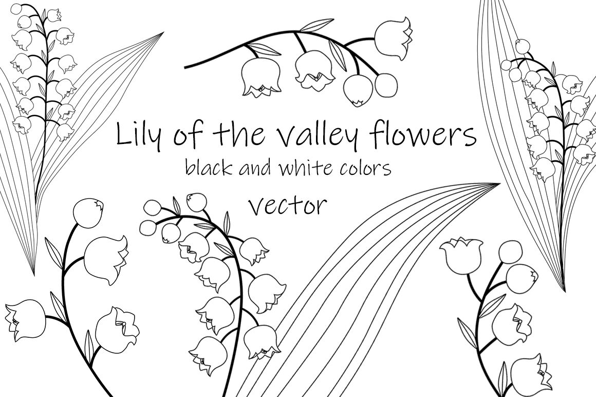 valley vector