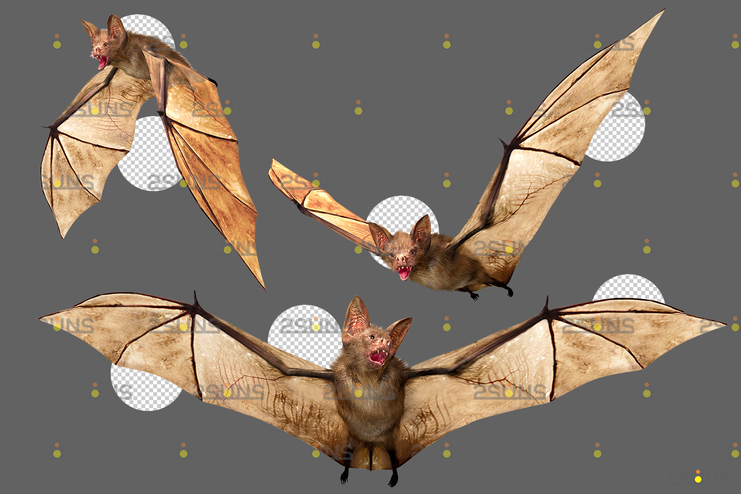 Bat, Halloween Bat File, mammal, holidays, vertebrate png