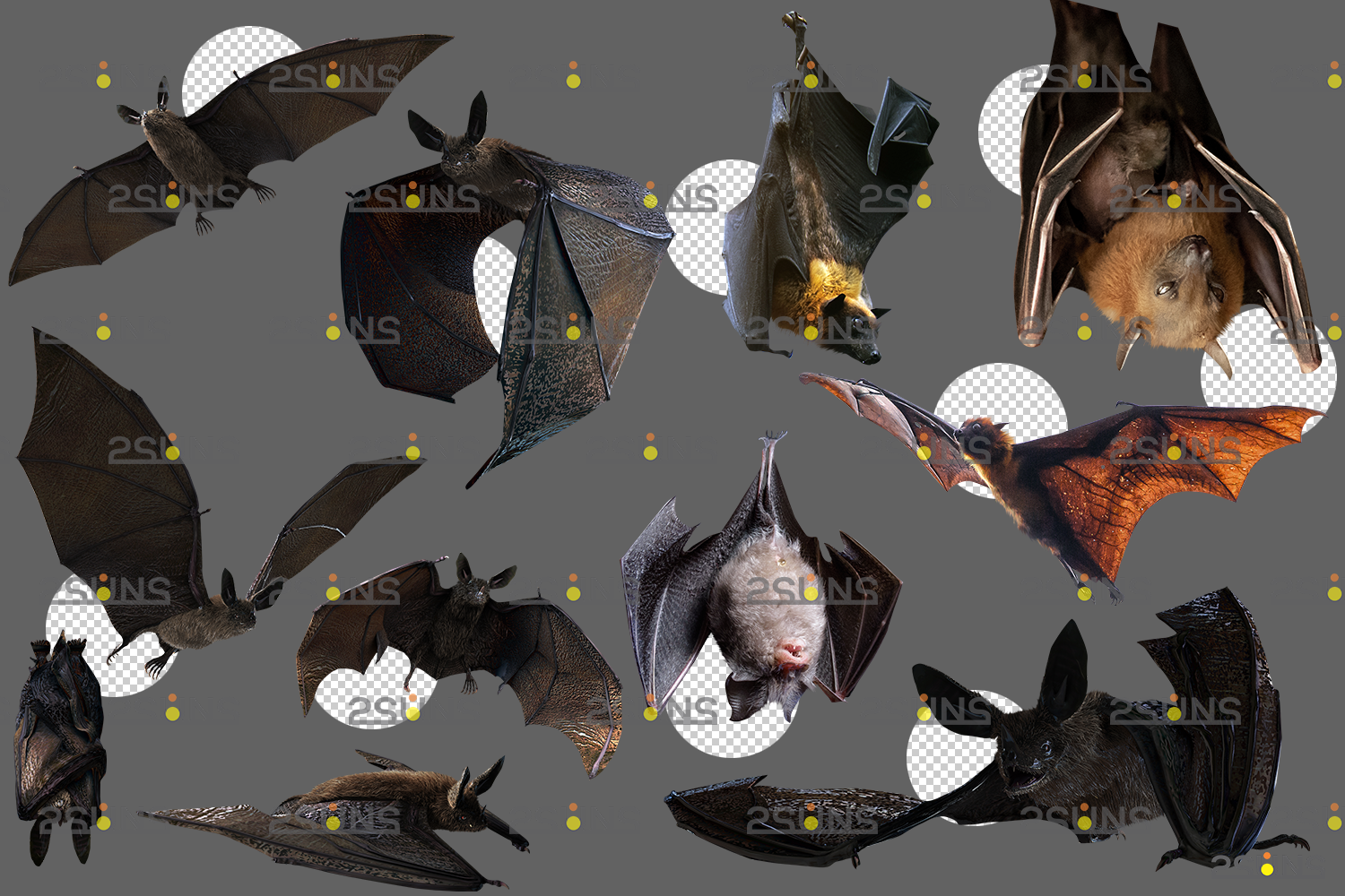 Bat, Halloween Bat File, mammal, holidays, vertebrate png