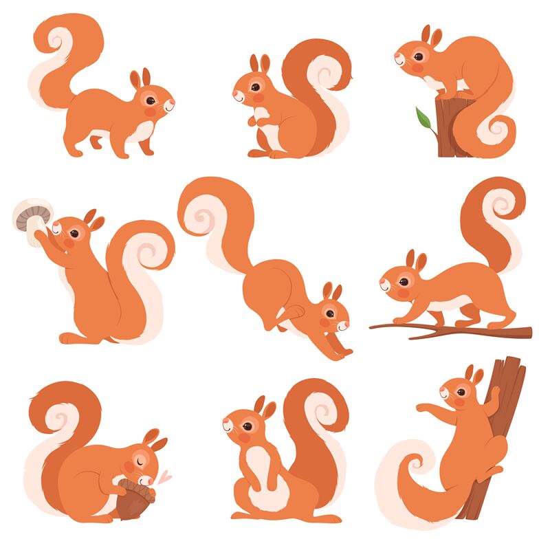 Cartoon squirrel. Funny forest wild animals running standing and jumpi By  ONYX | TheHungryJPEG