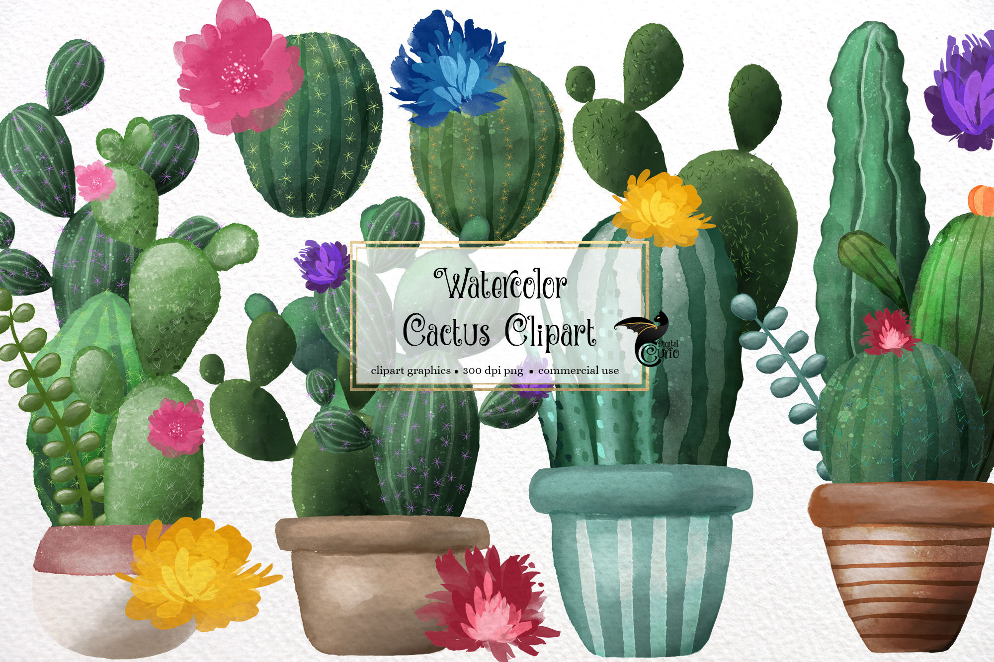 Download Watercolor Cactus Clipart By Digital Curio Thehungryjpeg Com
