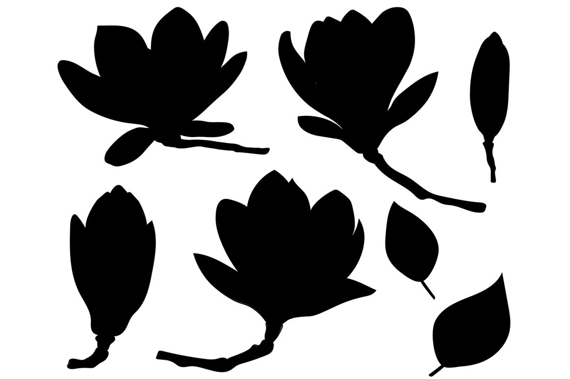 Magnolia silhouettes vector. Magnolia flowers. Magnolia SVG By