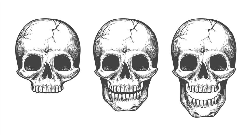 skeleton face sketch