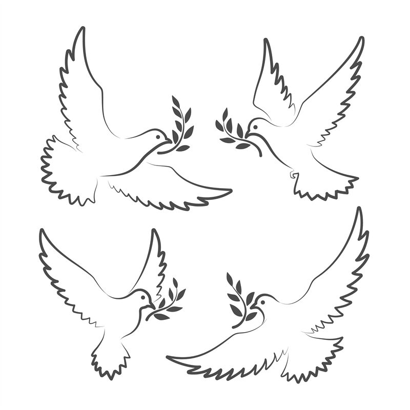 White doves with olive branch By vectortatu | TheHungryJPEG