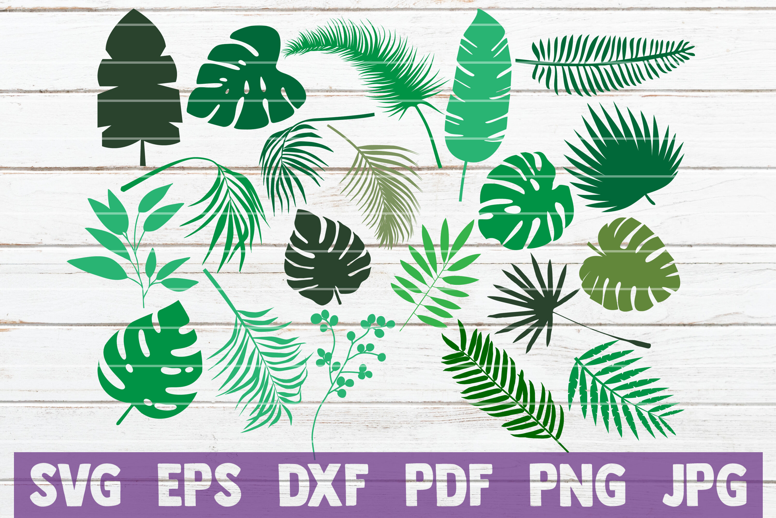 Download Tropical Leaves Svg Bundle By Mintymarshmallows Thehungryjpeg Com