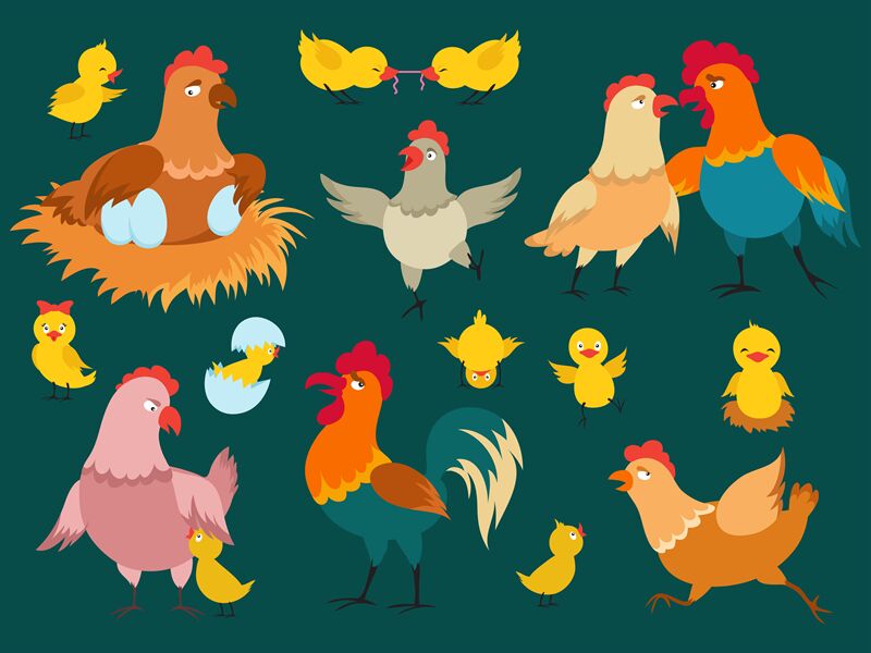 Cute cartoon characters chicken vector of set By Microvector | TheHungryJPEG