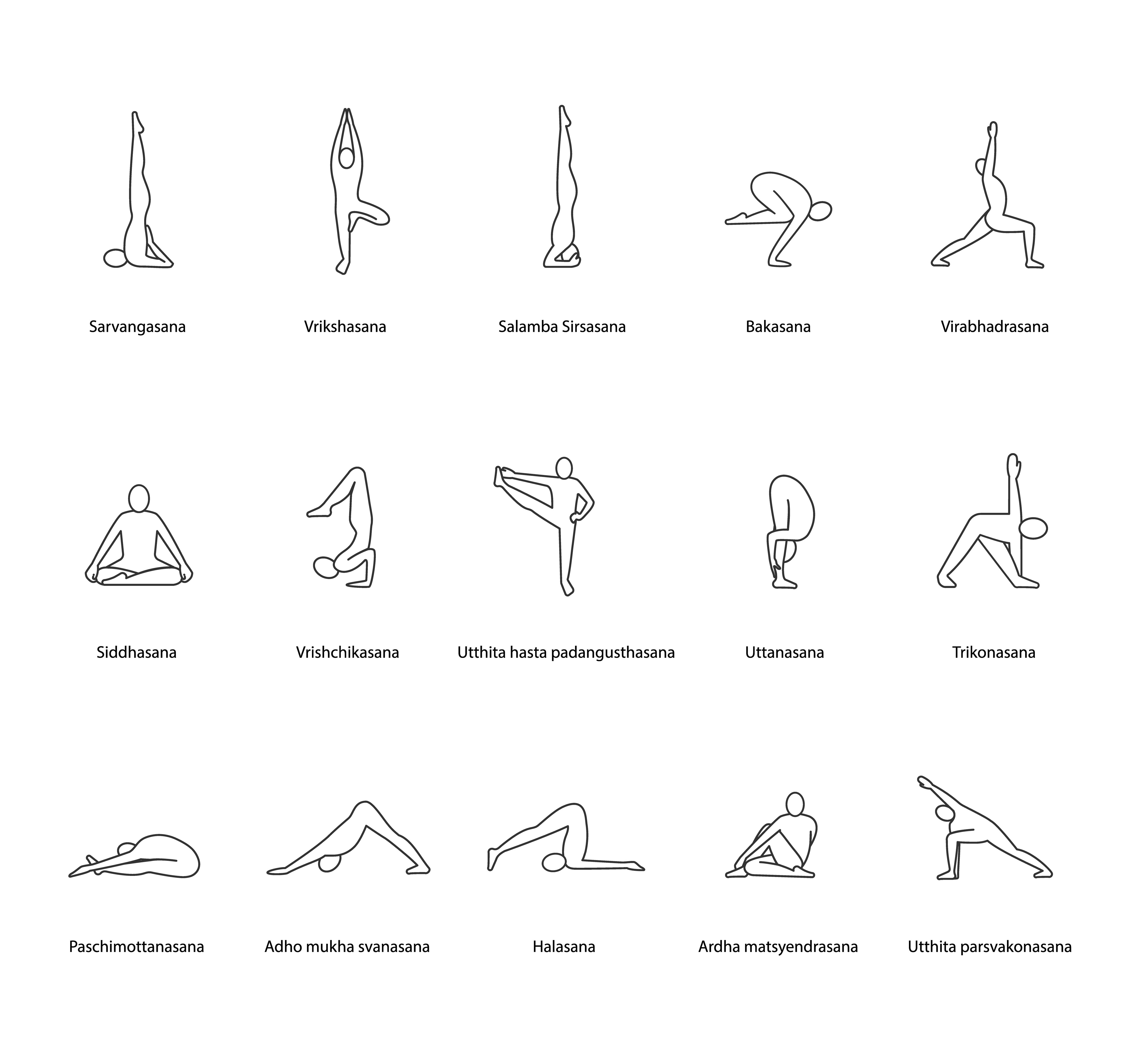 Yoga poses linear icons set By bsd studio | TheHungryJPEG