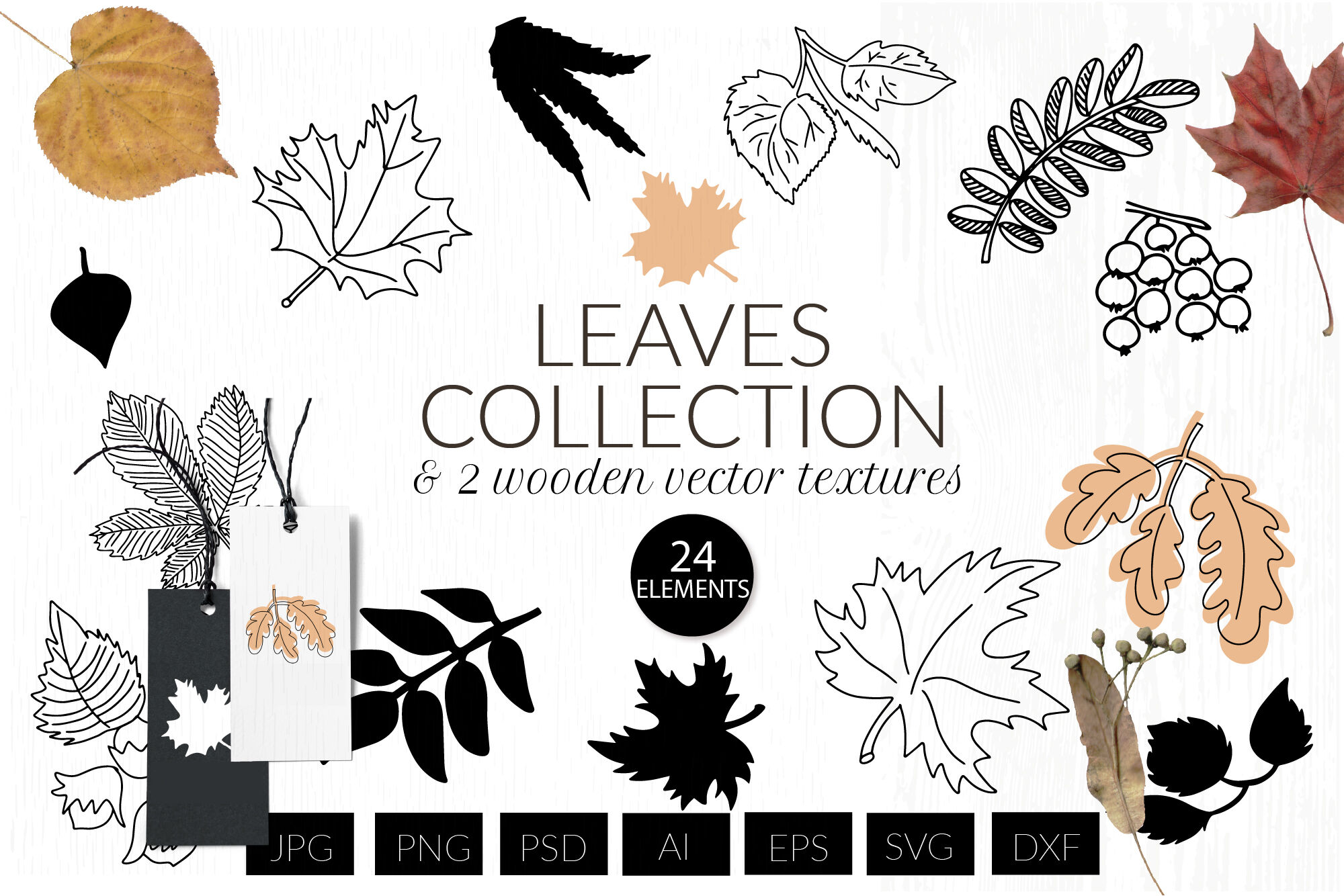 Download Autumn Leaf Svg Real Leaves Png Wooden Vector Texture By Lettersclipart Thehungryjpeg Com