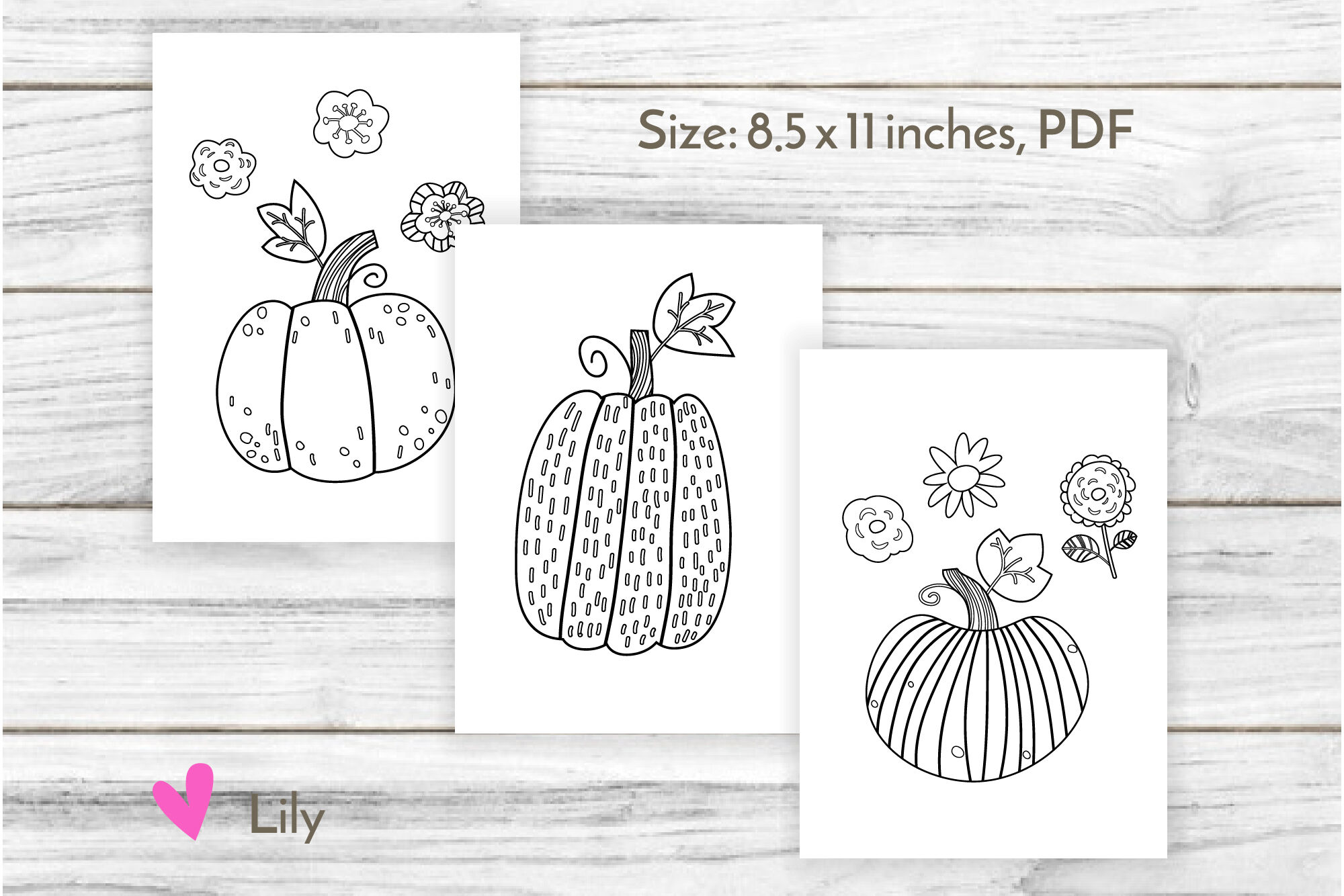Fall coloring pages. PDF 20 By Lily Shop   TheHungryJPEG.com