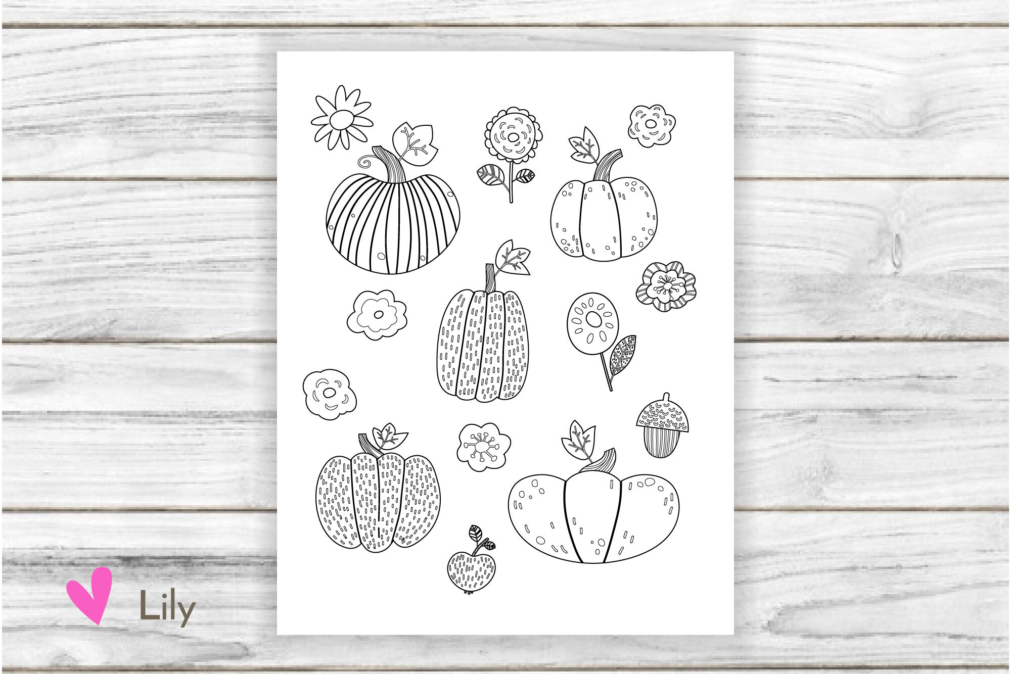 Fall coloring pages. PDF 20 By Lily Shop   TheHungryJPEG.com
