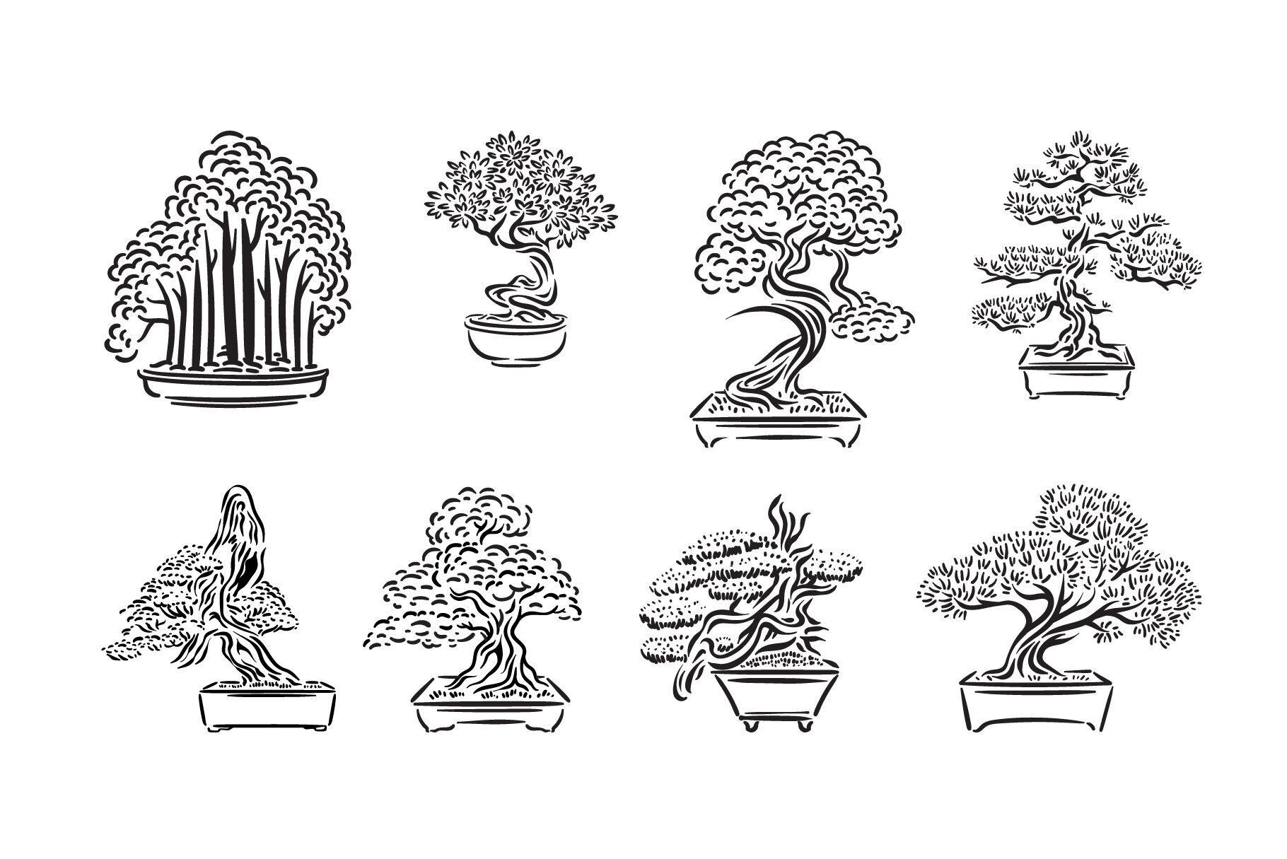 Hand drawn vector illustration or drawing of a bonsai tree on a cliff Stock  Photo - Alamy