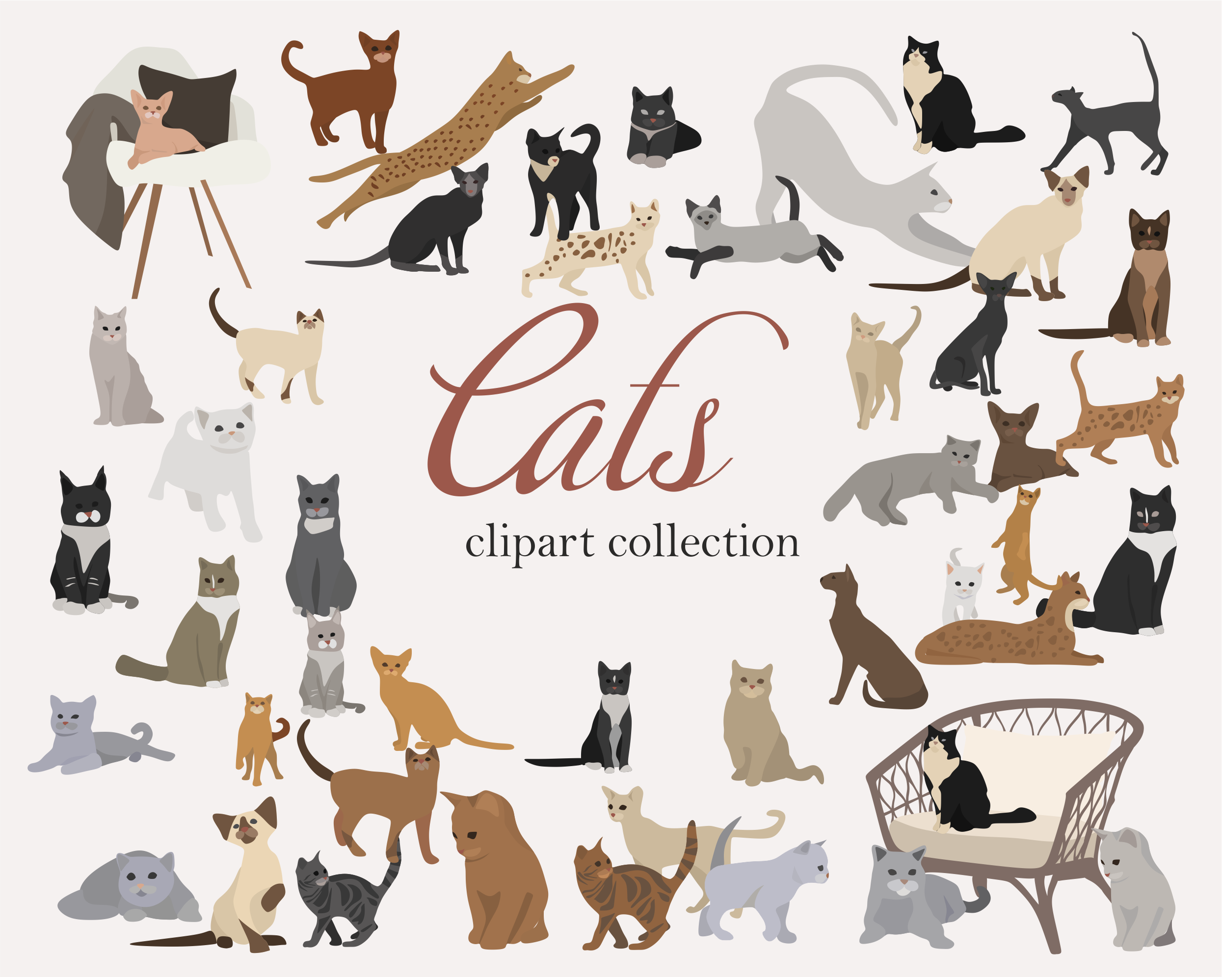 Cat clip art set-hand drawn cat breeds-digital PNG vector-cute animals By  Yanamides | TheHungryJPEG