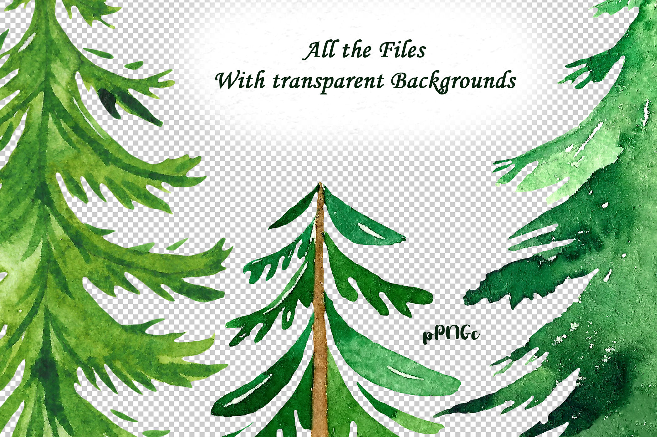 pine trees clip art