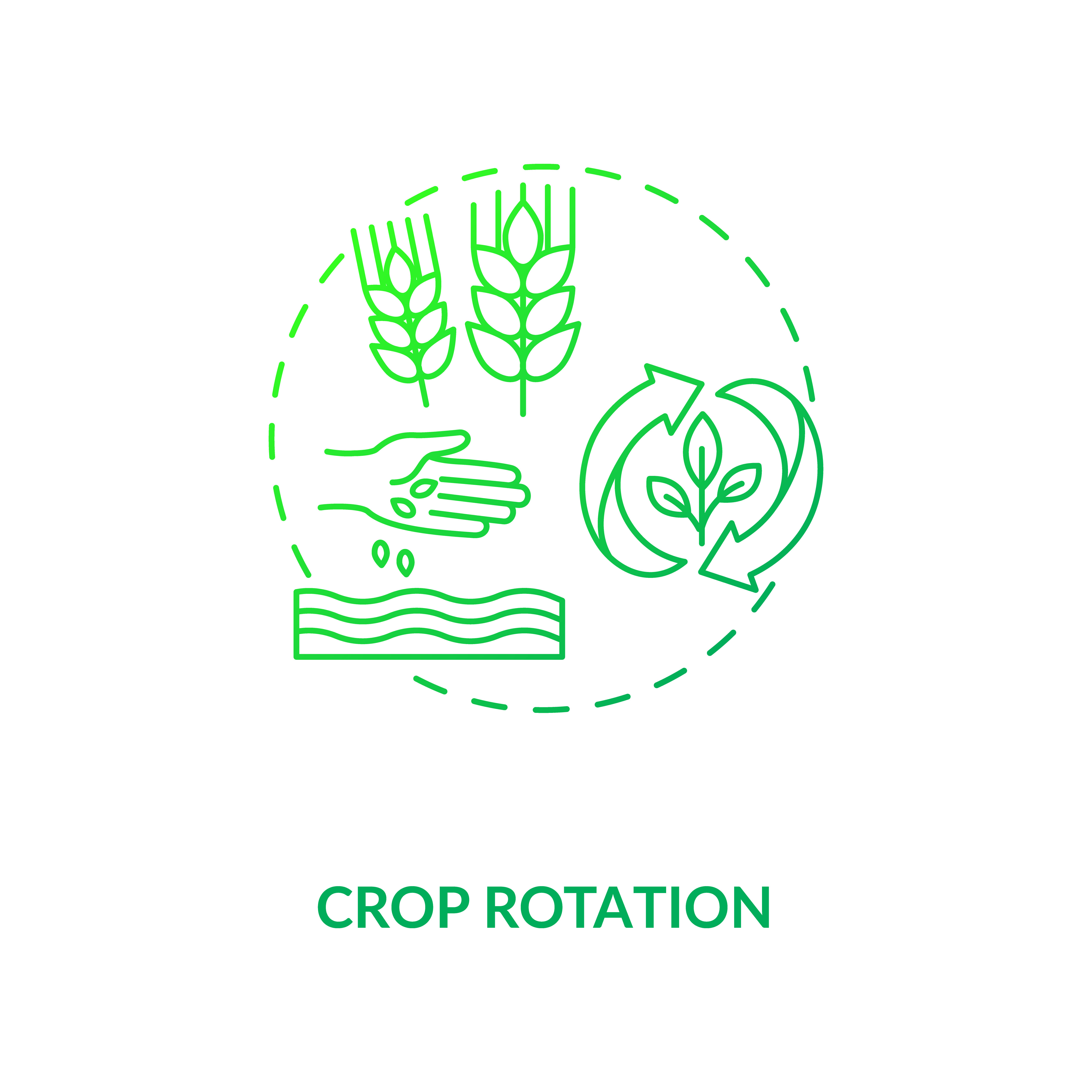 Crop rotation concept icon By bsd studio | TheHungryJPEG