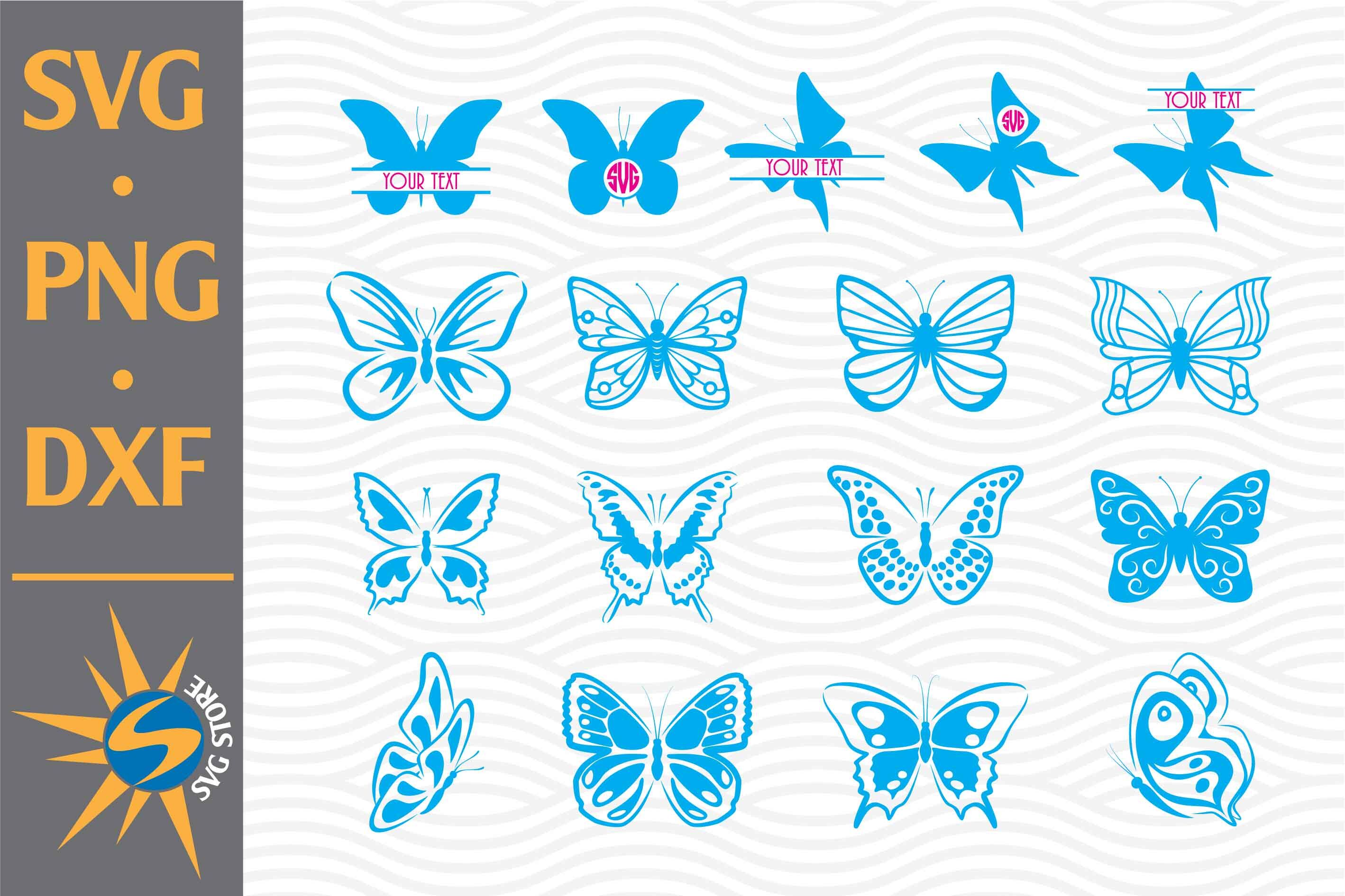 Download Butterfly Svg Png Dxf Digital Files Include By Svgstoreshop Thehungryjpeg Com