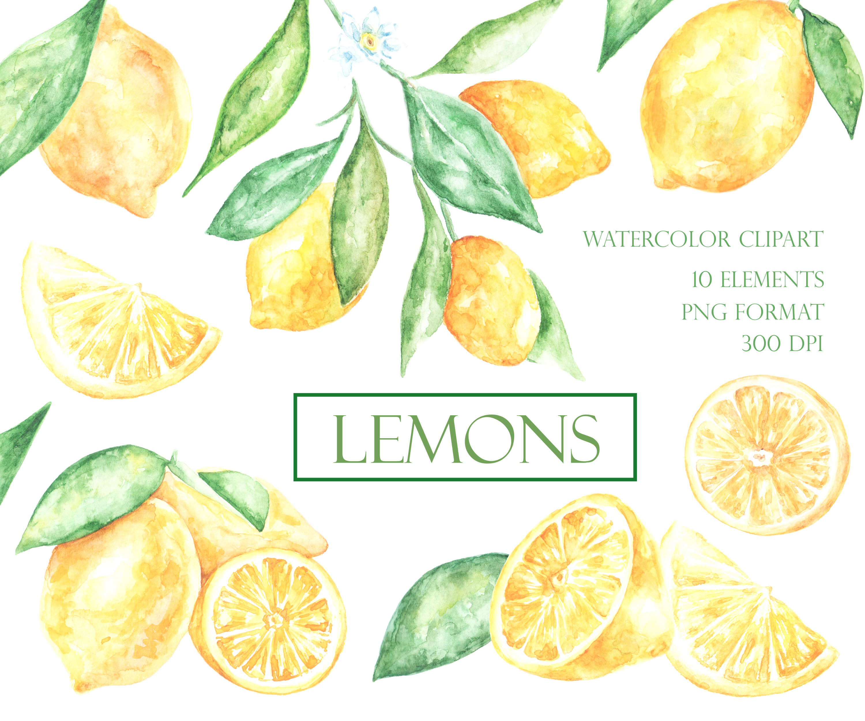 Lemon watercolor clipart. Lemons set. Slice of lemon. Citrus clipart ...