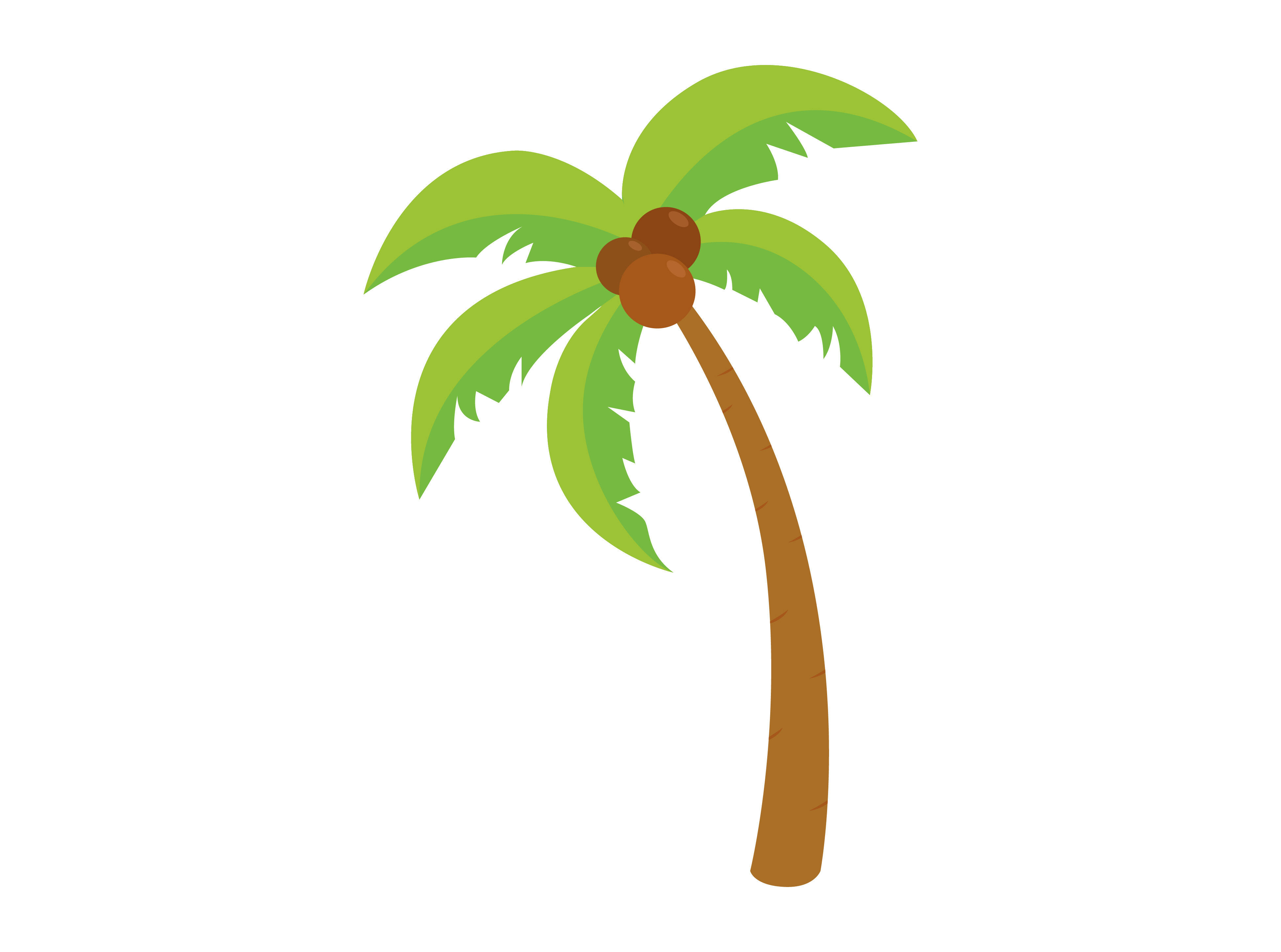 coconut tree illustration        <h3 class=