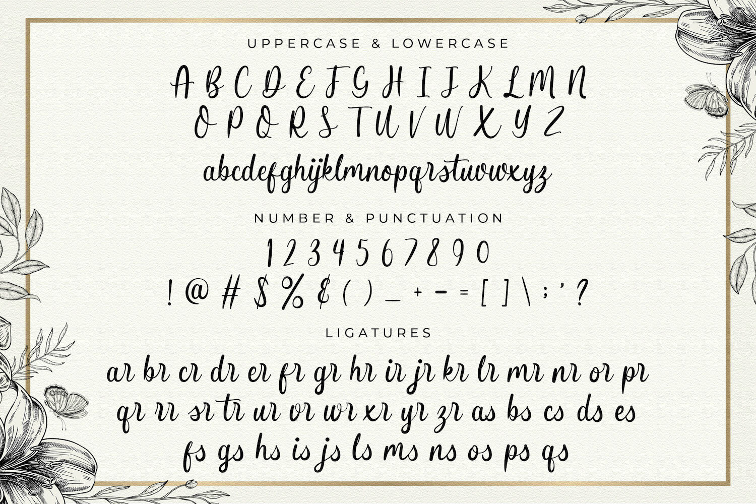 Butterfly Winter - Handwritten Font By StringLabs | TheHungryJPEG