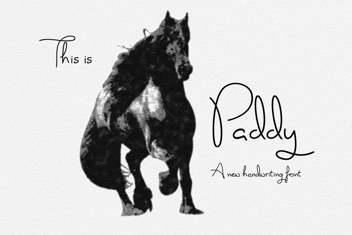 Paddy Font Handwriting Font By Joanne Marie Thehungryjpeg Com