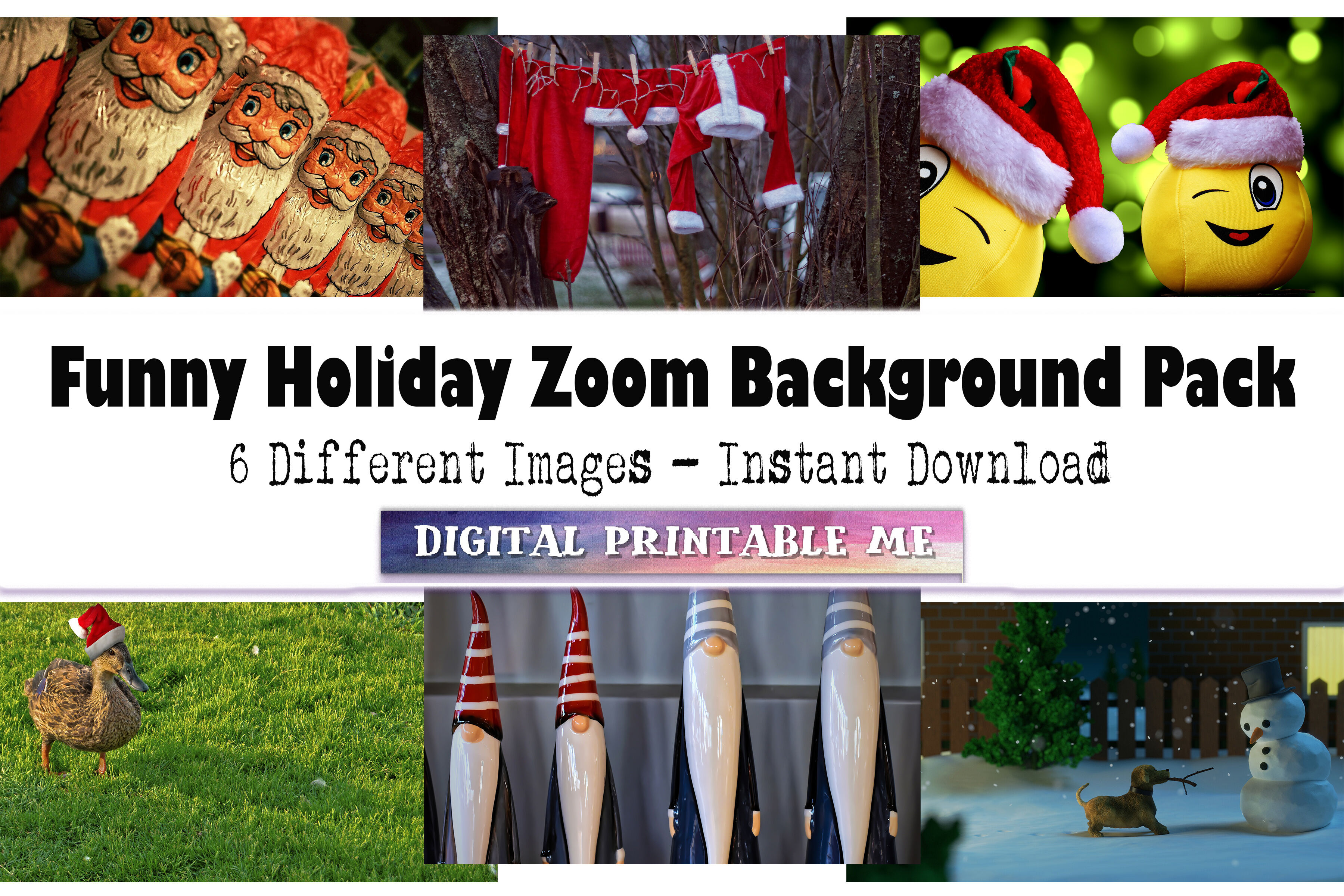 Christmas Zoom Background, Cute Xmas, funny holiday goose, gnome, smil By  DigitalPrintableMe | TheHungryJPEG