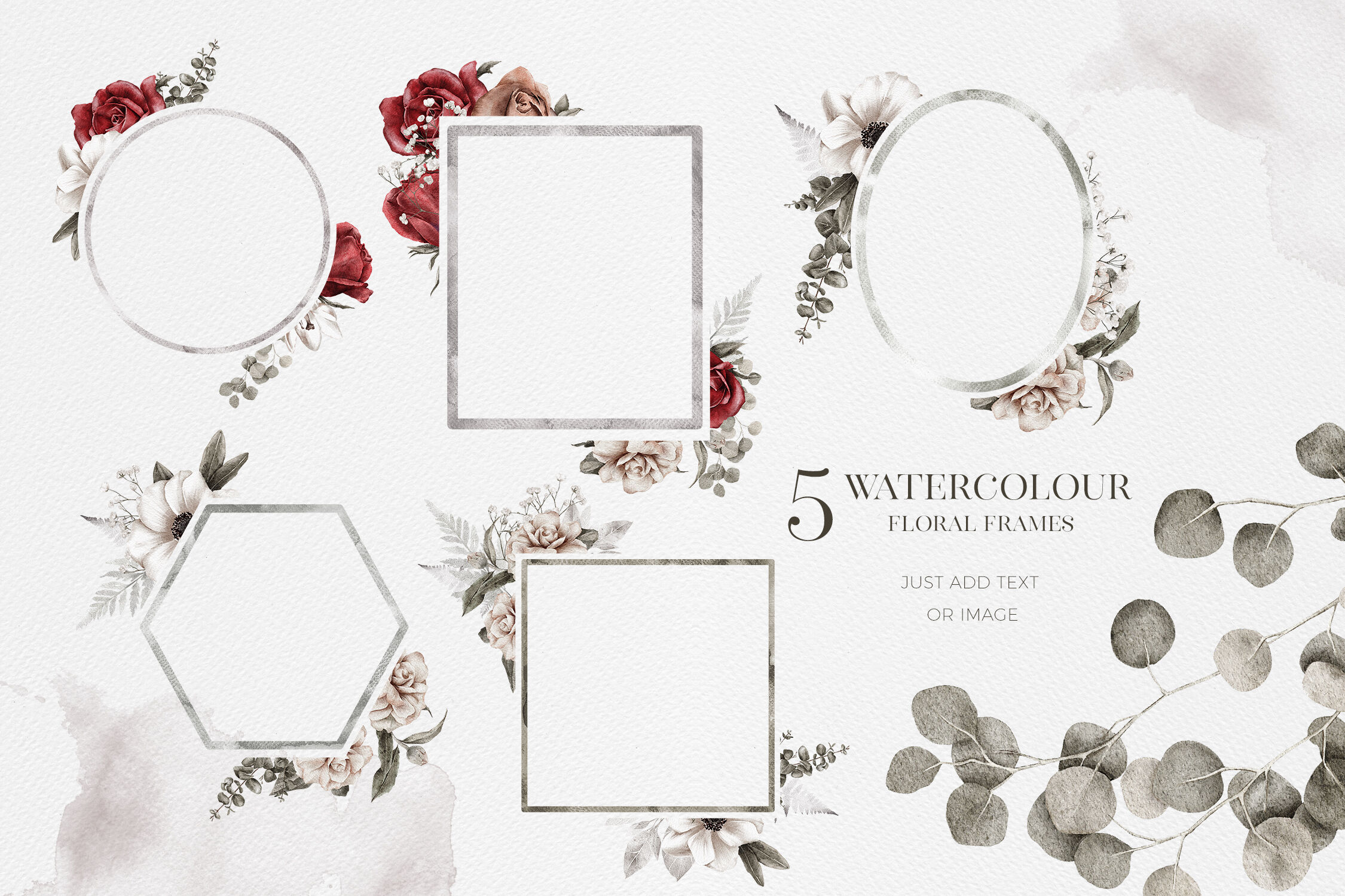 Download Watercolor Flowers Leaves Bouquet Roses Anemones Flower Arrangement We By Busy May Studio Thehungryjpeg Com