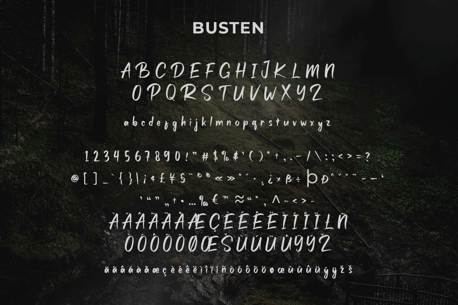 Busten Handwritten Brush Font By Craft Supply Co Thehungryjpeg Com