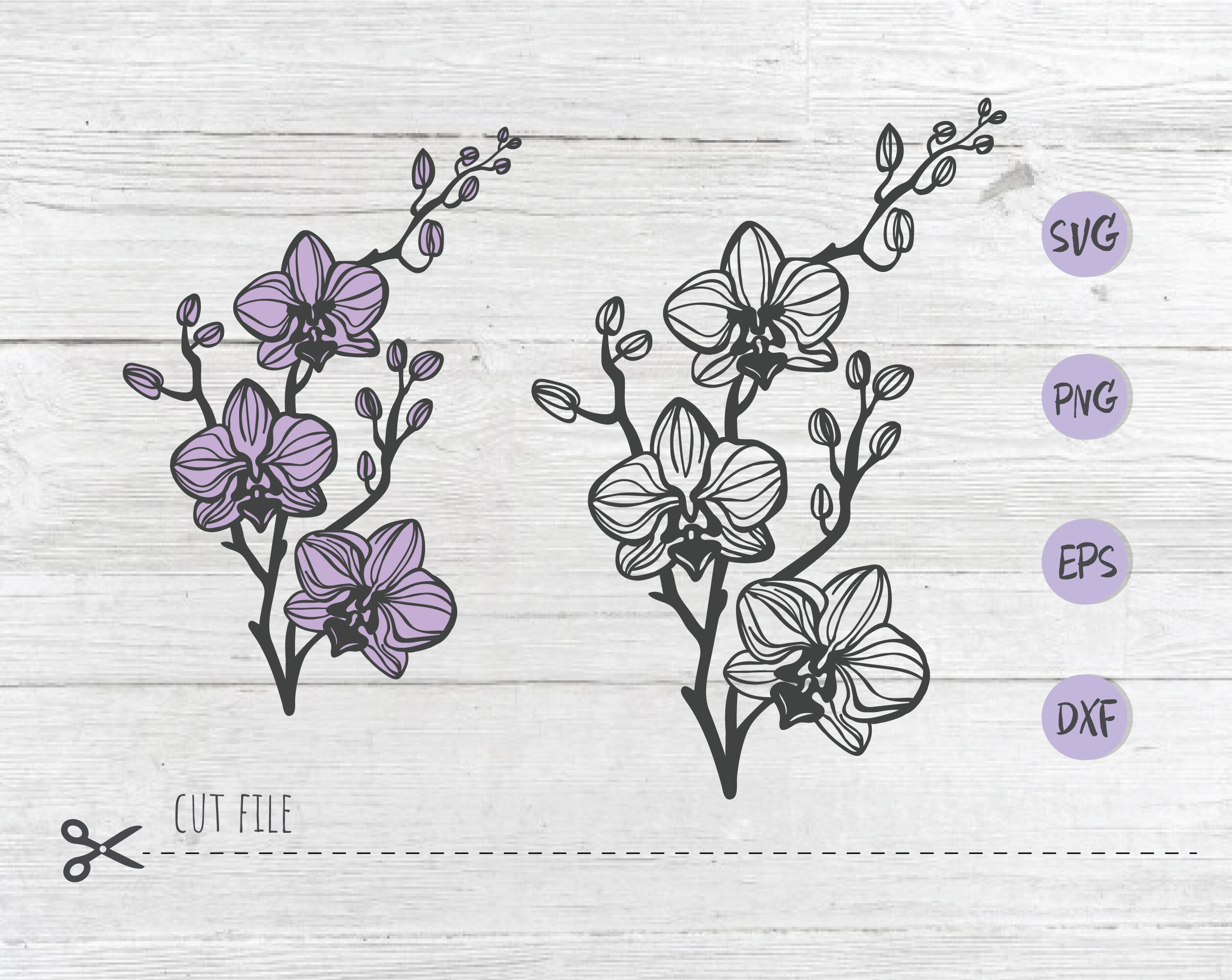 Download Orchid Flower Svg Cut File Flower Silhouette Vector Orchid Eps Outl By Sashaauzashop Thehungryjpeg Com