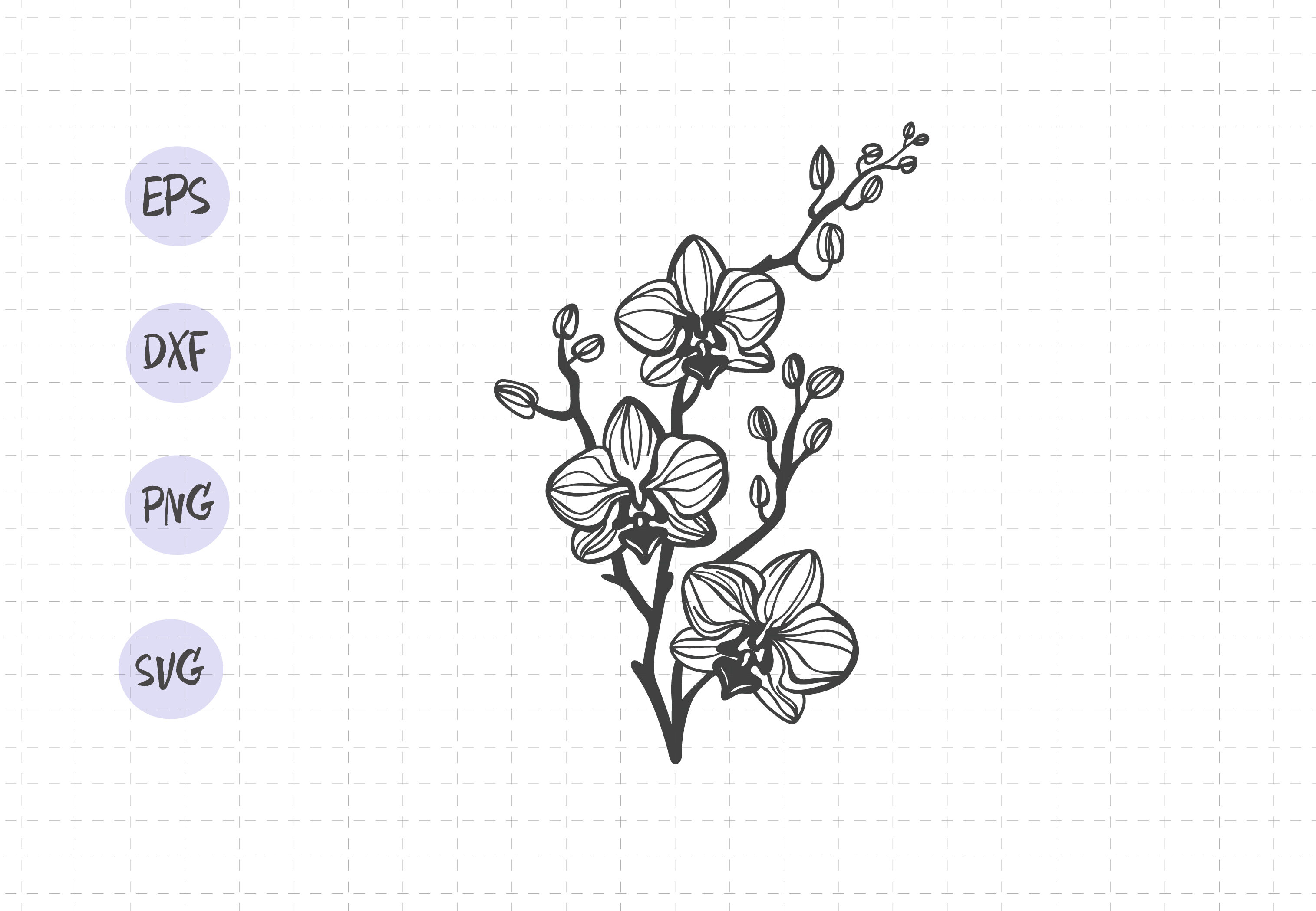 Download Orchid Flower Svg Cut File Flower Silhouette Vector Orchid Eps Outl By Sashaauzashop Thehungryjpeg Com