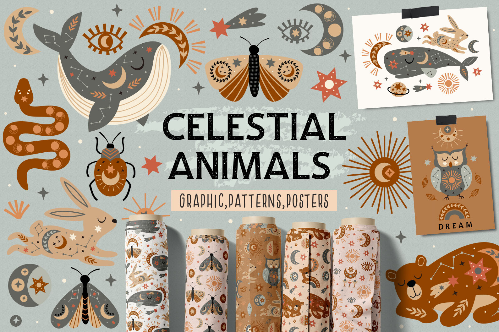 Celestial animals collection By Nataka | TheHungryJPEG