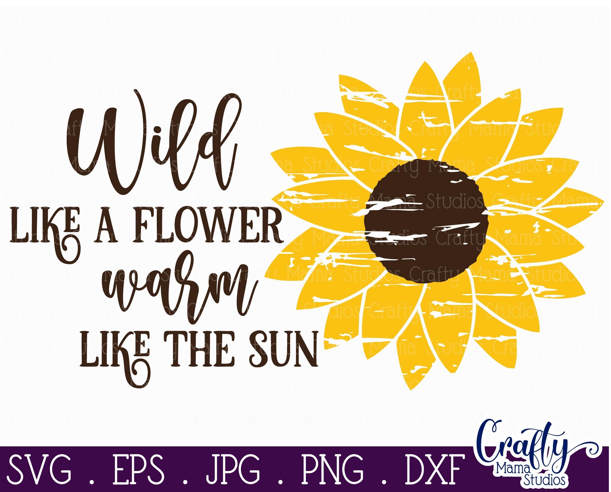 Download Sunflower Svg Sunflower Quote Wild Like A Flower Warm Sun By Crafty Mama Studios Thehungryjpeg Com