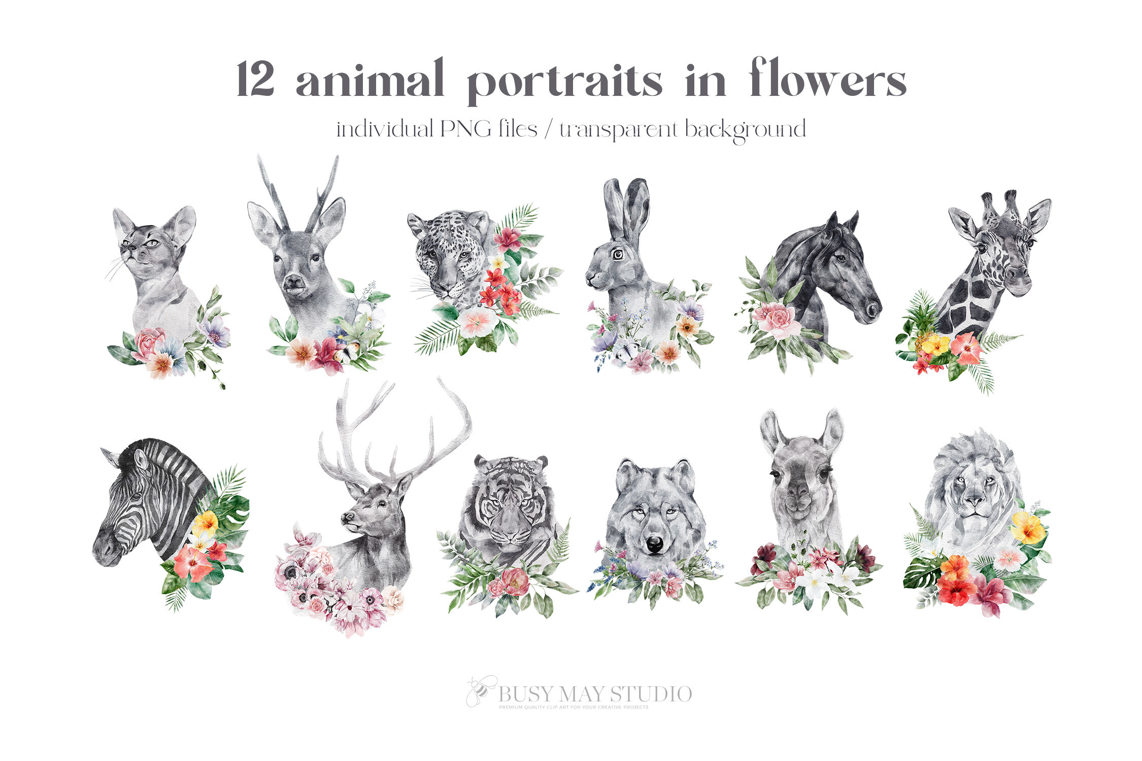 Animal Portraits With Flowers Wall Art Posters Animal Illustrations By ...