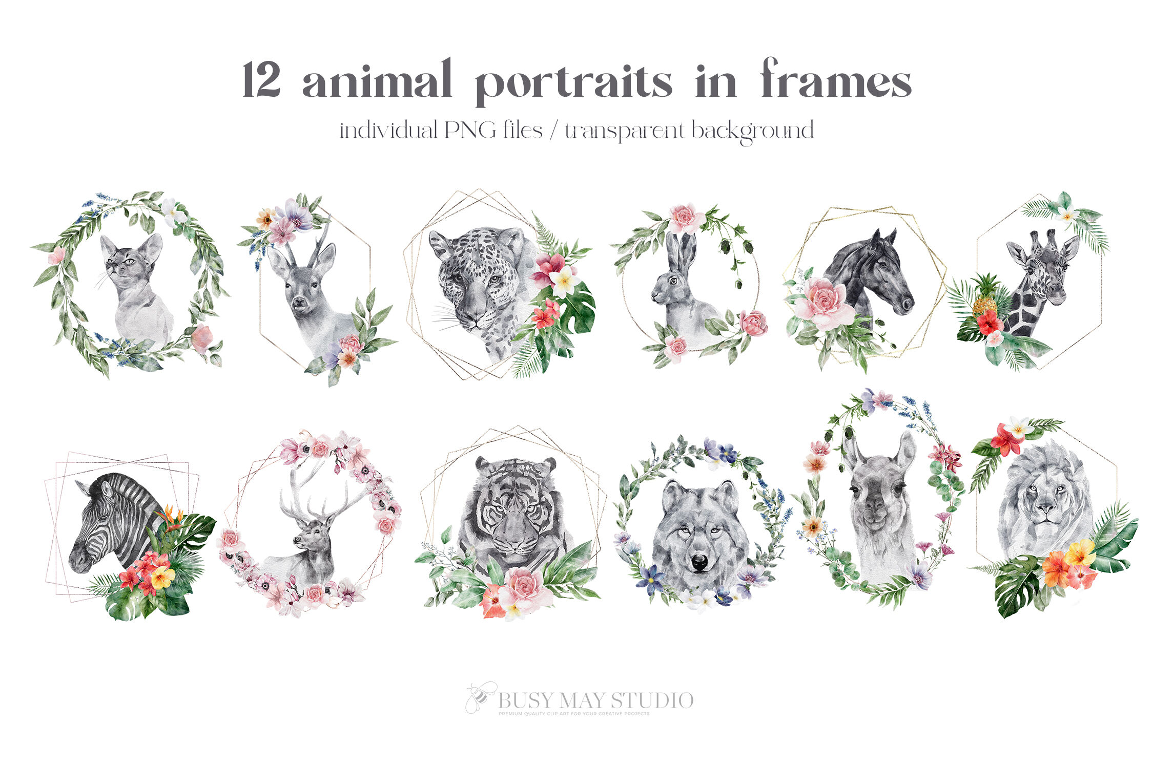 Animal Portraits With Flowers Wall Art Posters Animal Illustrations By ...