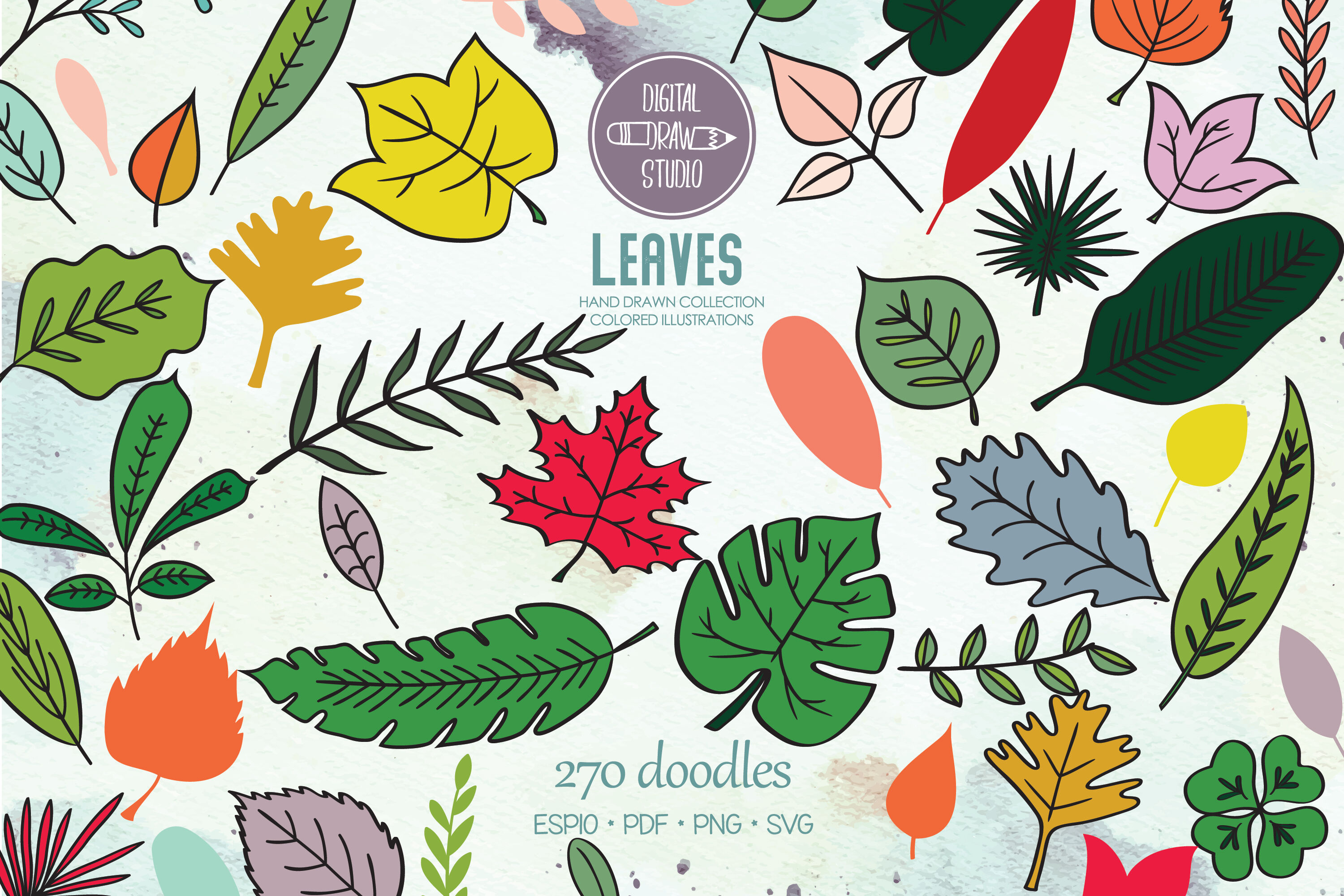 Hand Drawn Leaves Color | Tropical Foliage Plant By Digital Draw Studio ...