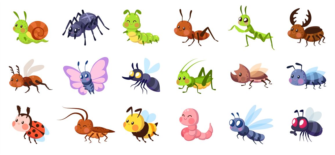 Cute cartoon insects. Funny little insect characters set baby snail, s By  YummyBuum | TheHungryJPEG
