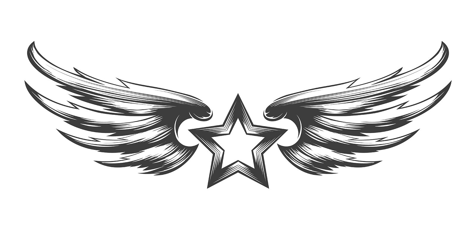 Emblem Star With Wings In Black Color Stock Illustration - Download Image  Now - Animal Wing, Pilot, Commercial Airplane - iStock