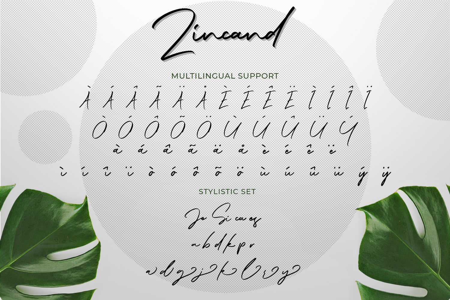 Zincand Modern Script Font By Maulana Creative Thehungryjpeg Com