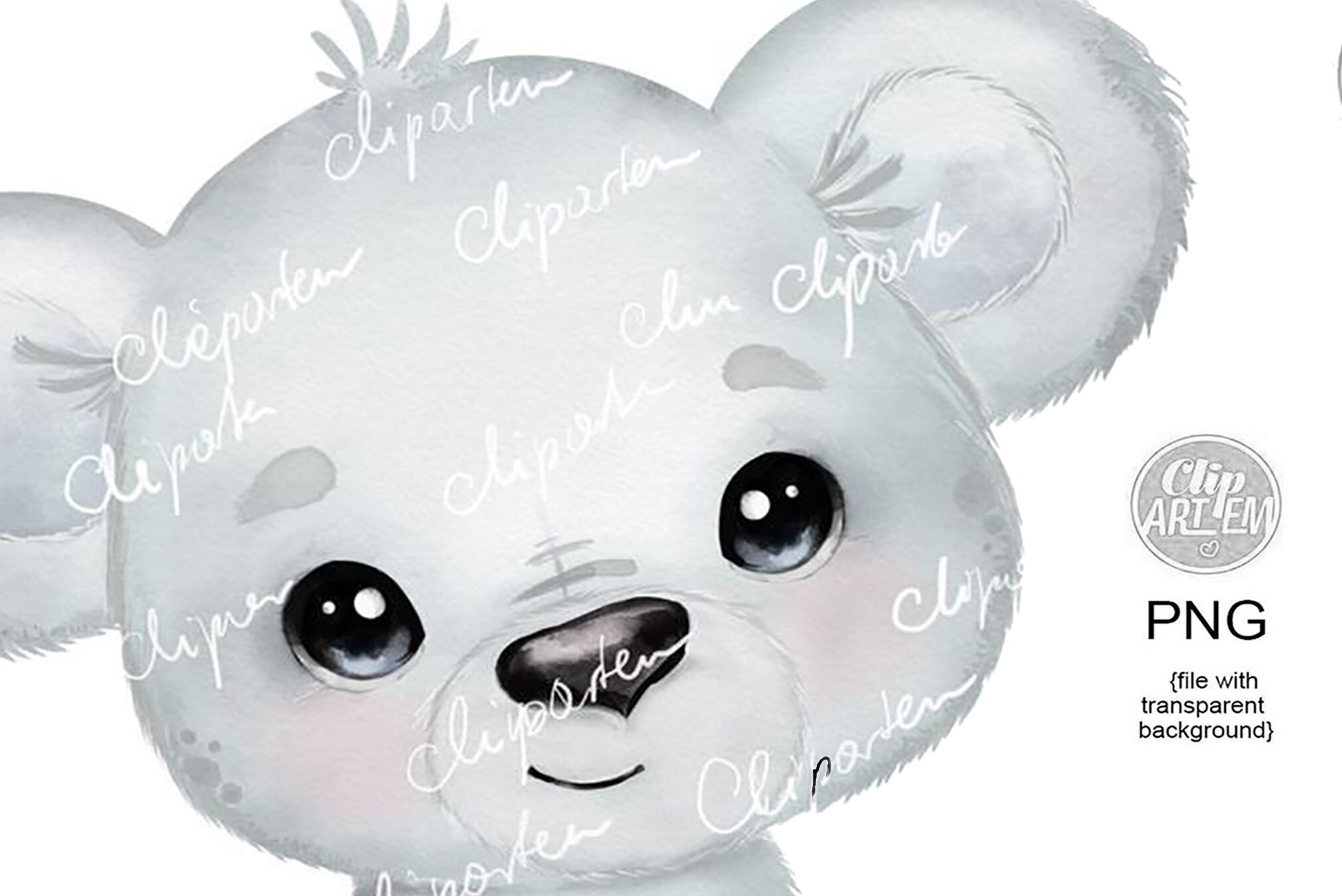 Bear Transparent Background, Cute Bear PNG, Black, Teddy, Polar