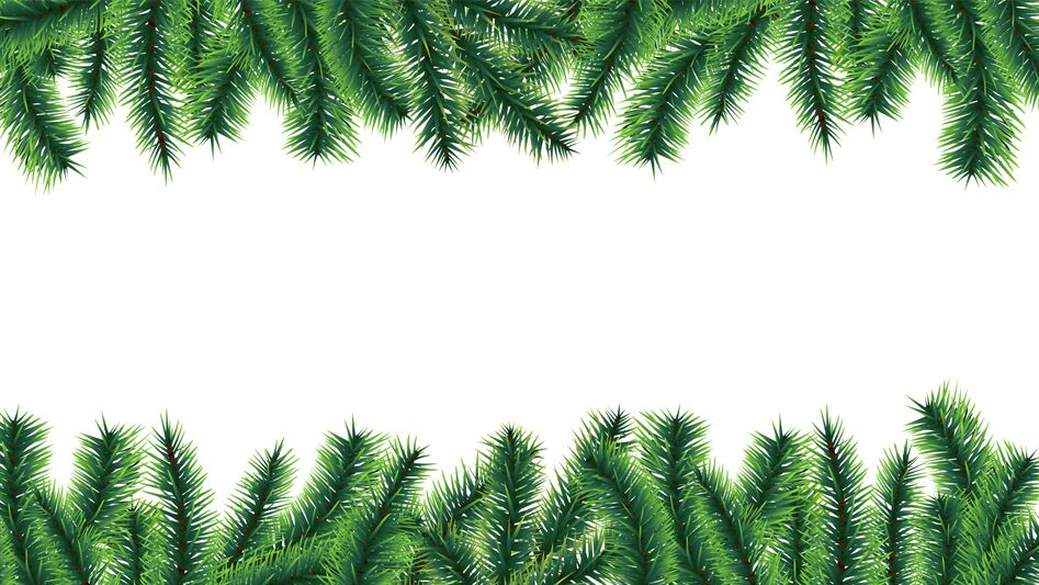 Christmas tree border. Holiday banner, vector fir tree branches isolat By  Microvector