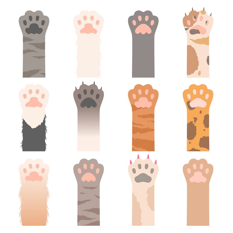 Paw cats. Cute animals hands wild cats claws vector cartoon characters By  ONYX | TheHungryJPEG
