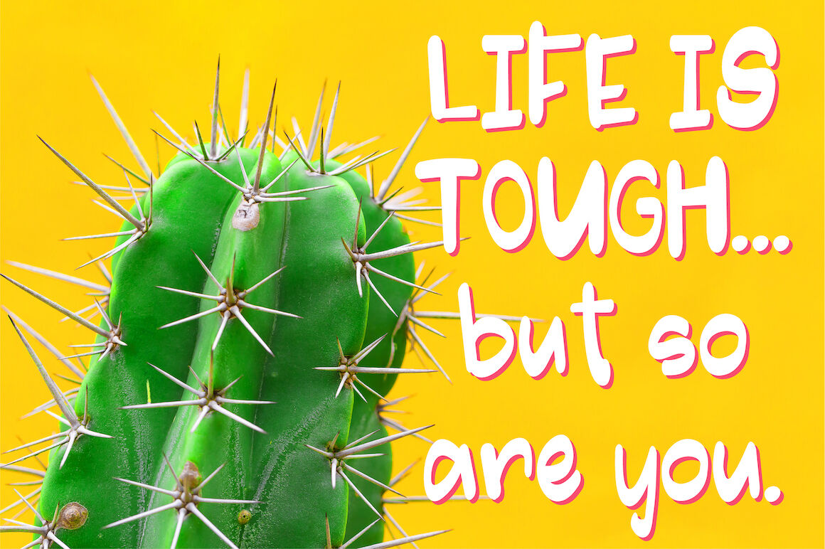 Cactus Club By Laine Sutherland Designs