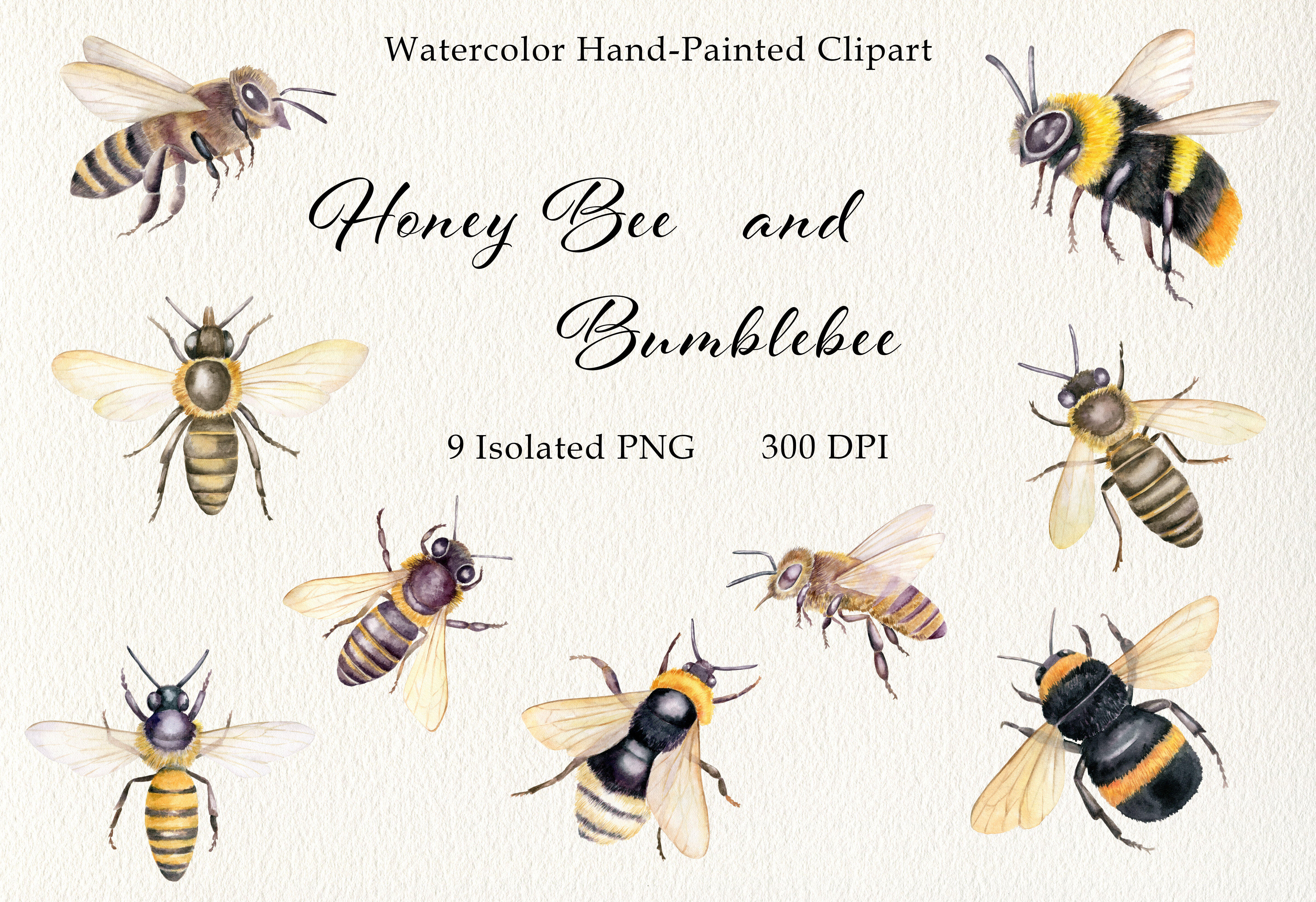 Watercolor Honey Bee Farmhouse Decor Png Graphic by