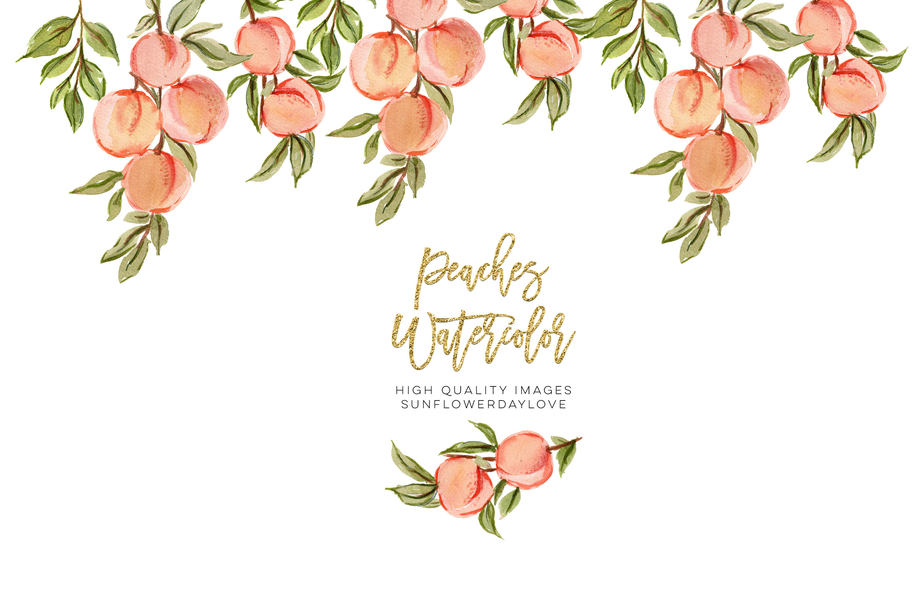 Peaches Watercolor Elements Clipart Peach Fruit Clipart Peach Leaves By Sunflower Day Love 1457